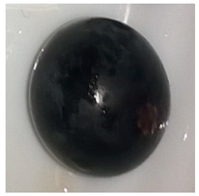 Foods 11 02216 i010 Foods 11 02216 i010