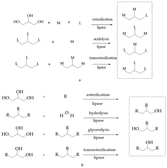Foods 11 02400 g003a