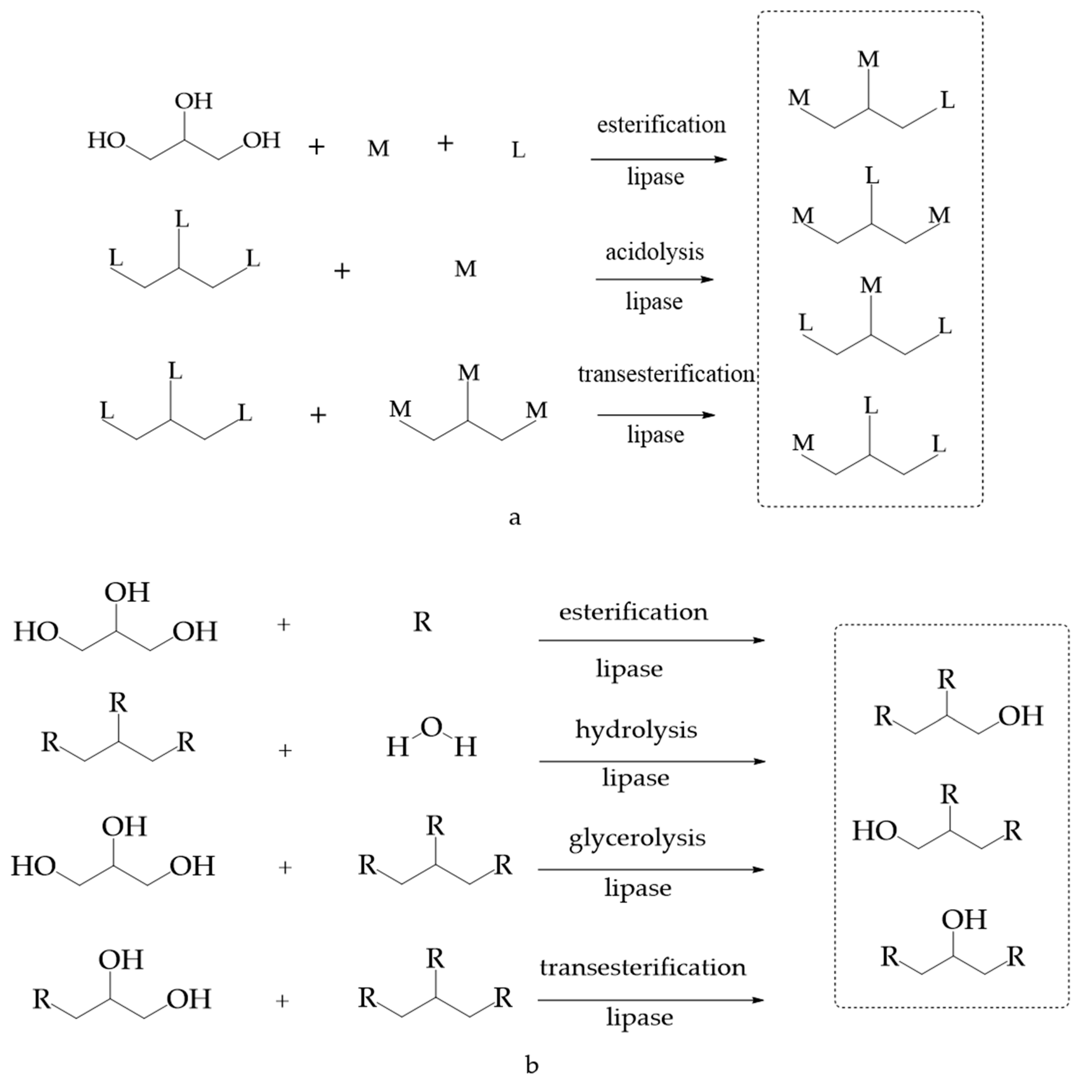 Foods 11 02400 g003a