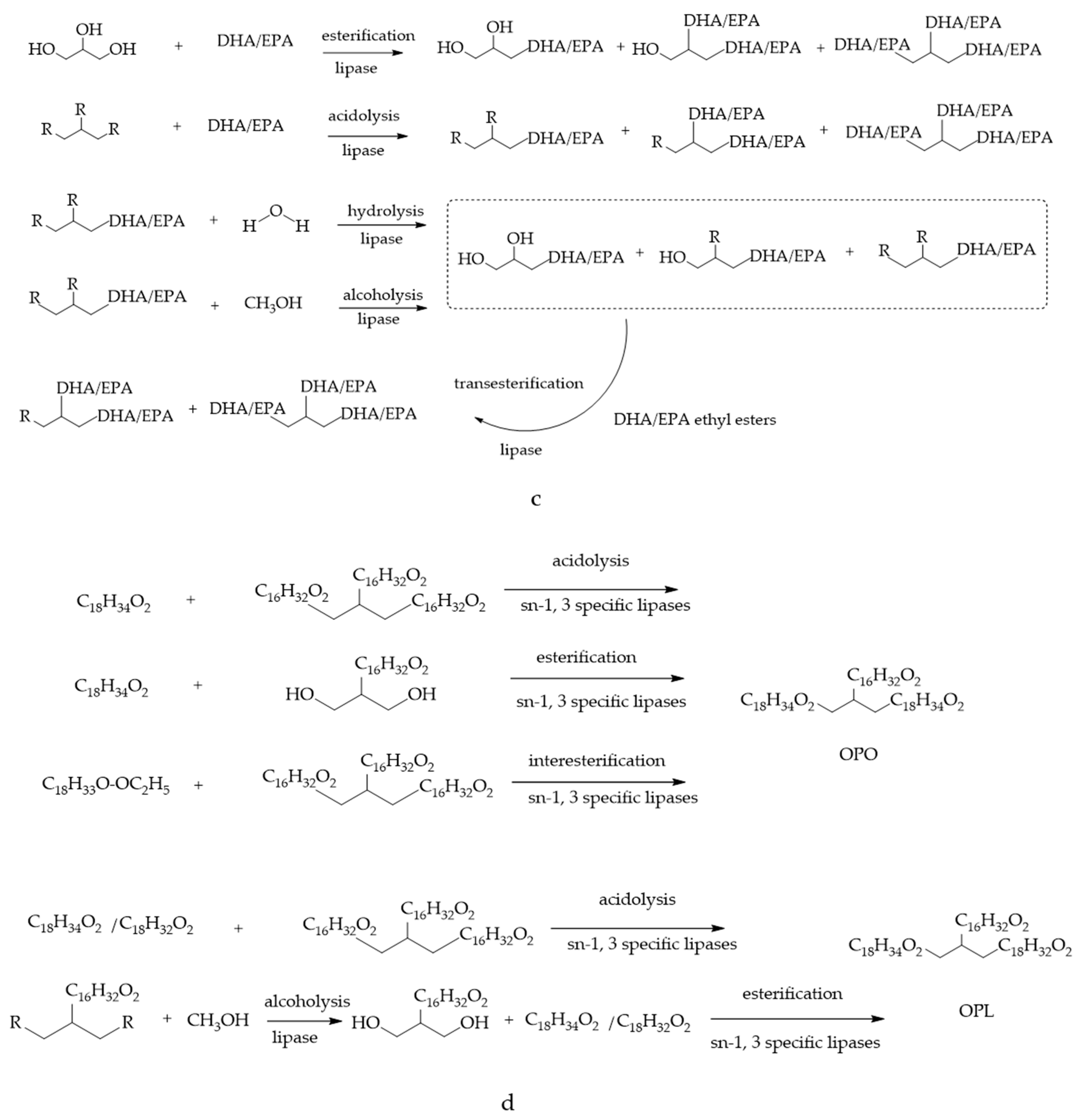 Foods 11 02400 g003b