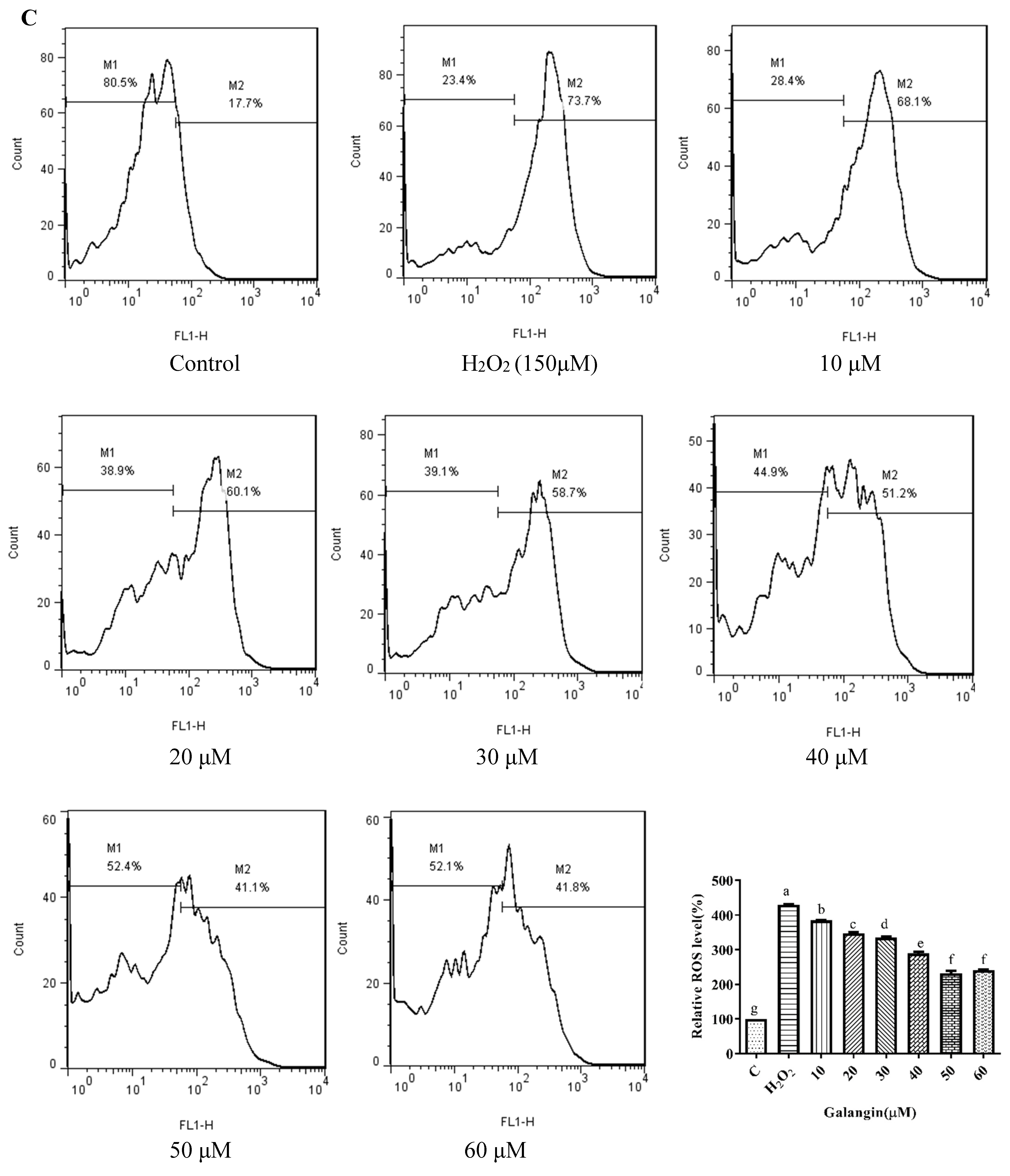 Foods 11 02439 g003c