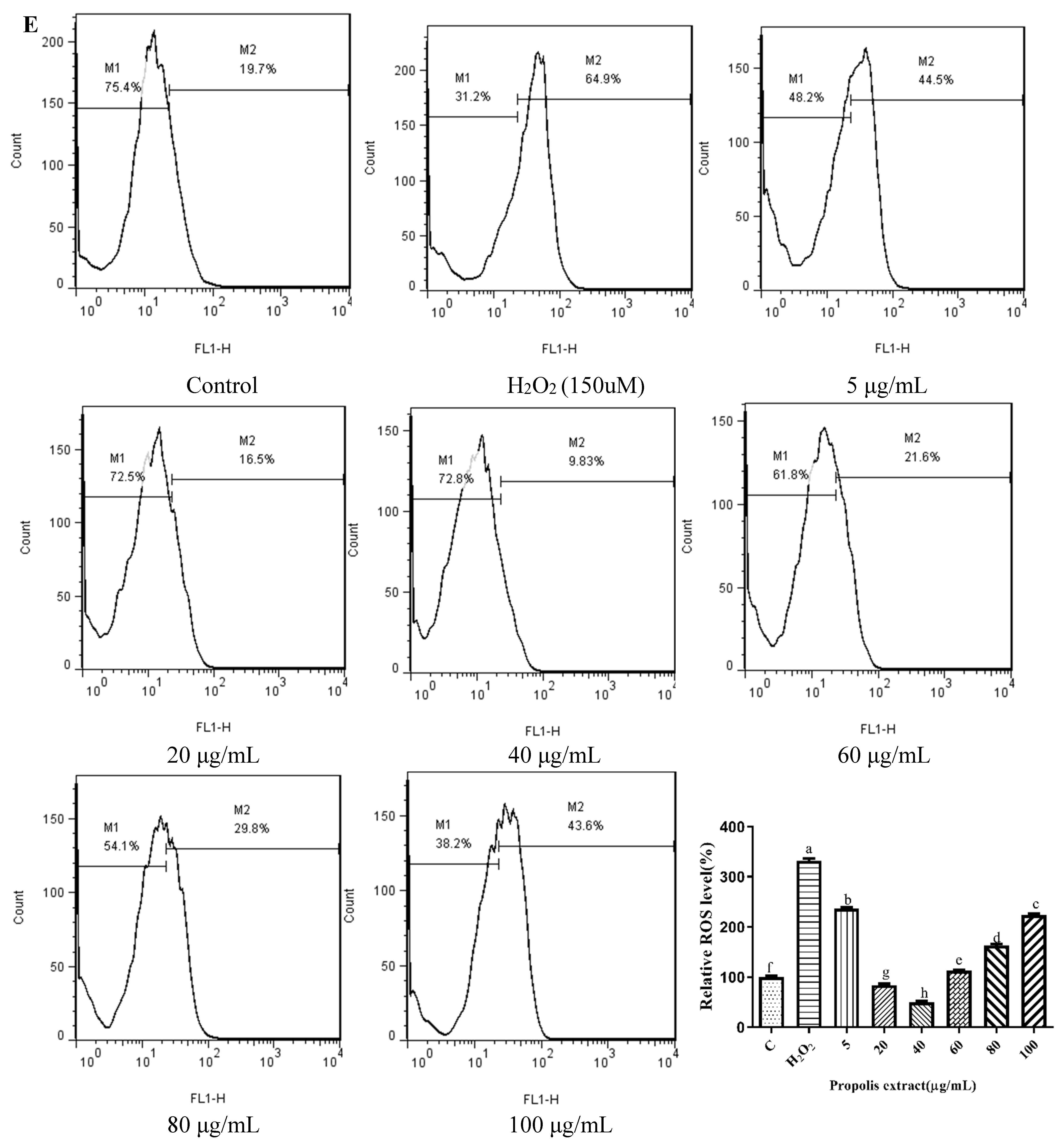 Foods 11 02439 g003e