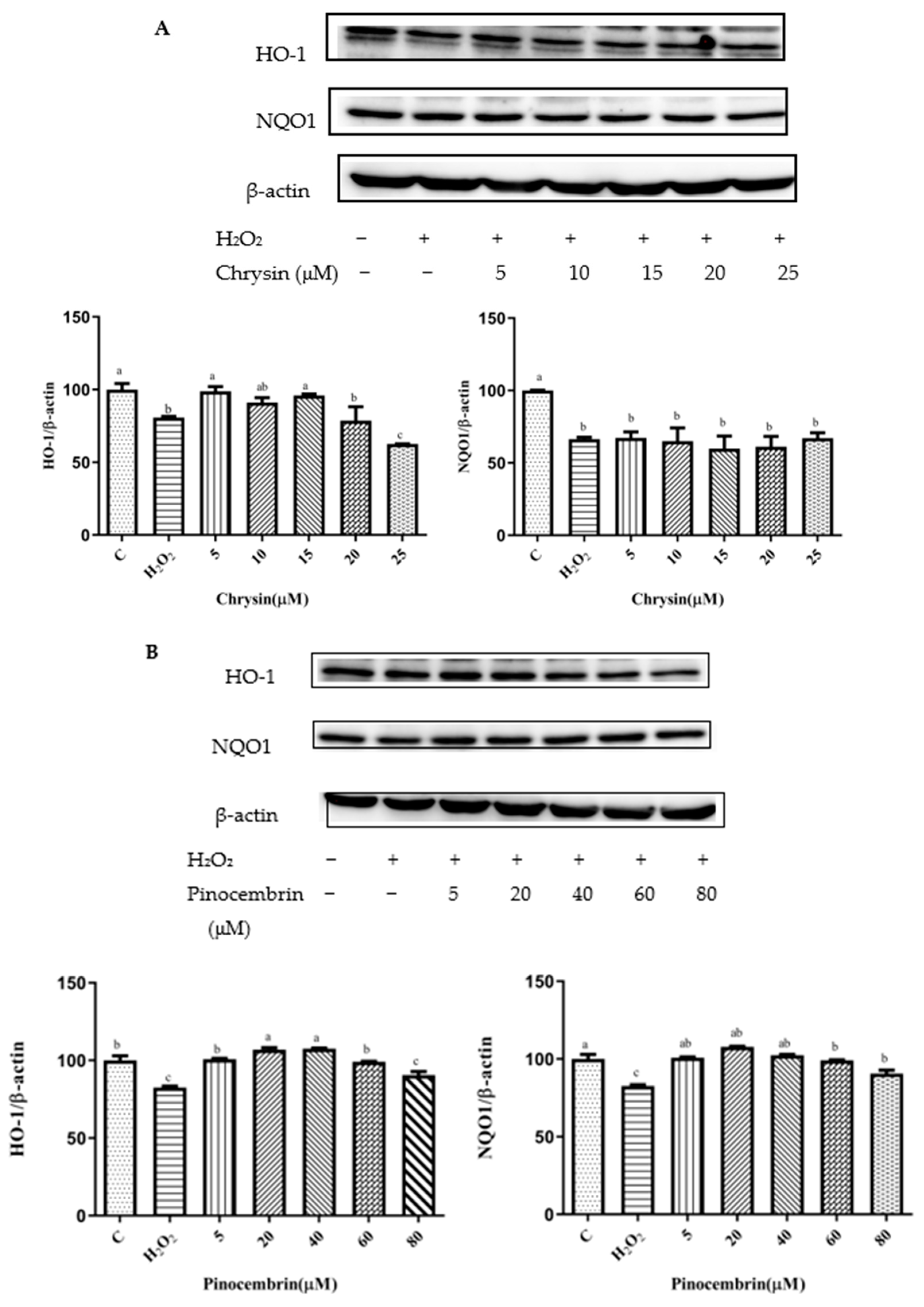 Foods 11 02439 g006a