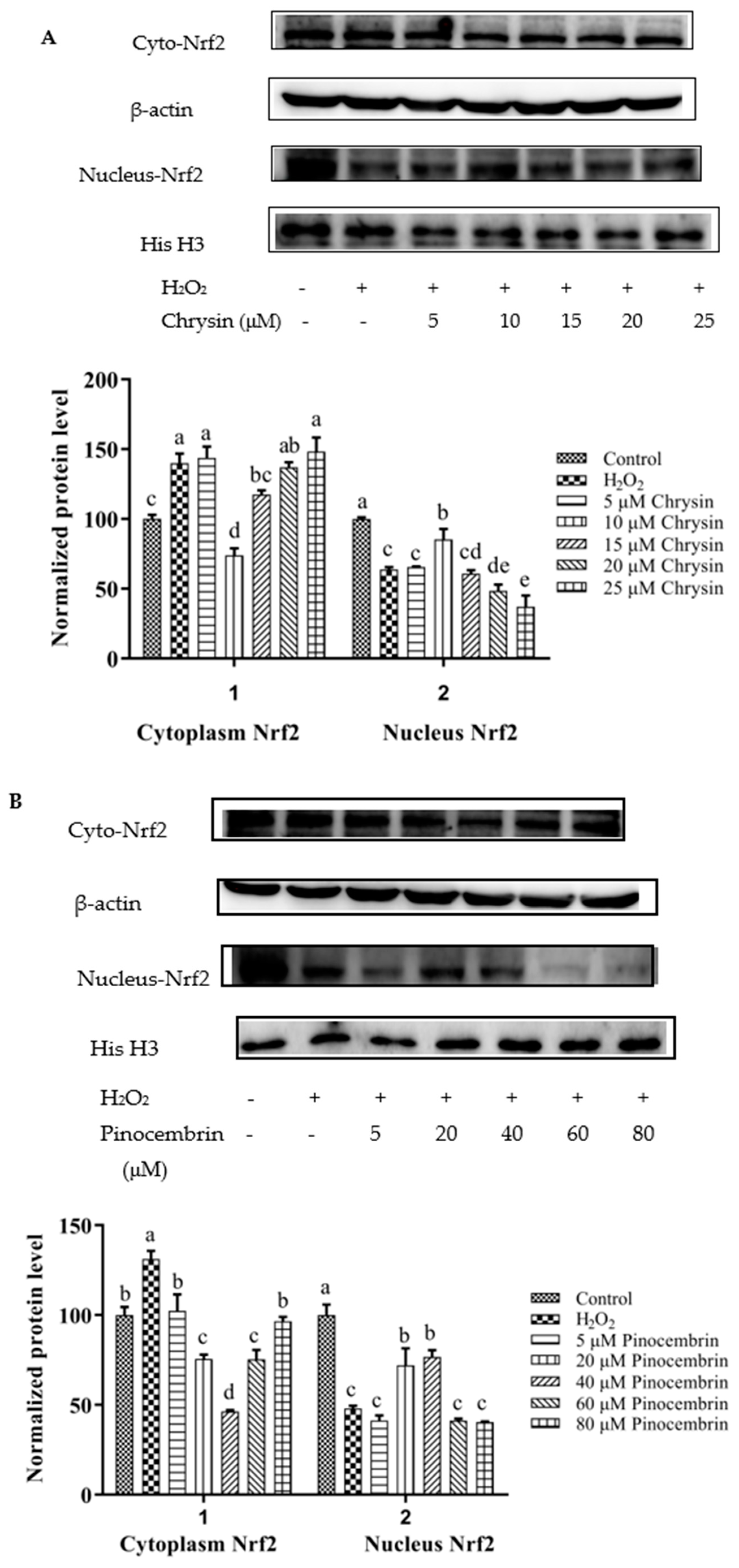 Foods 11 02439 g007a