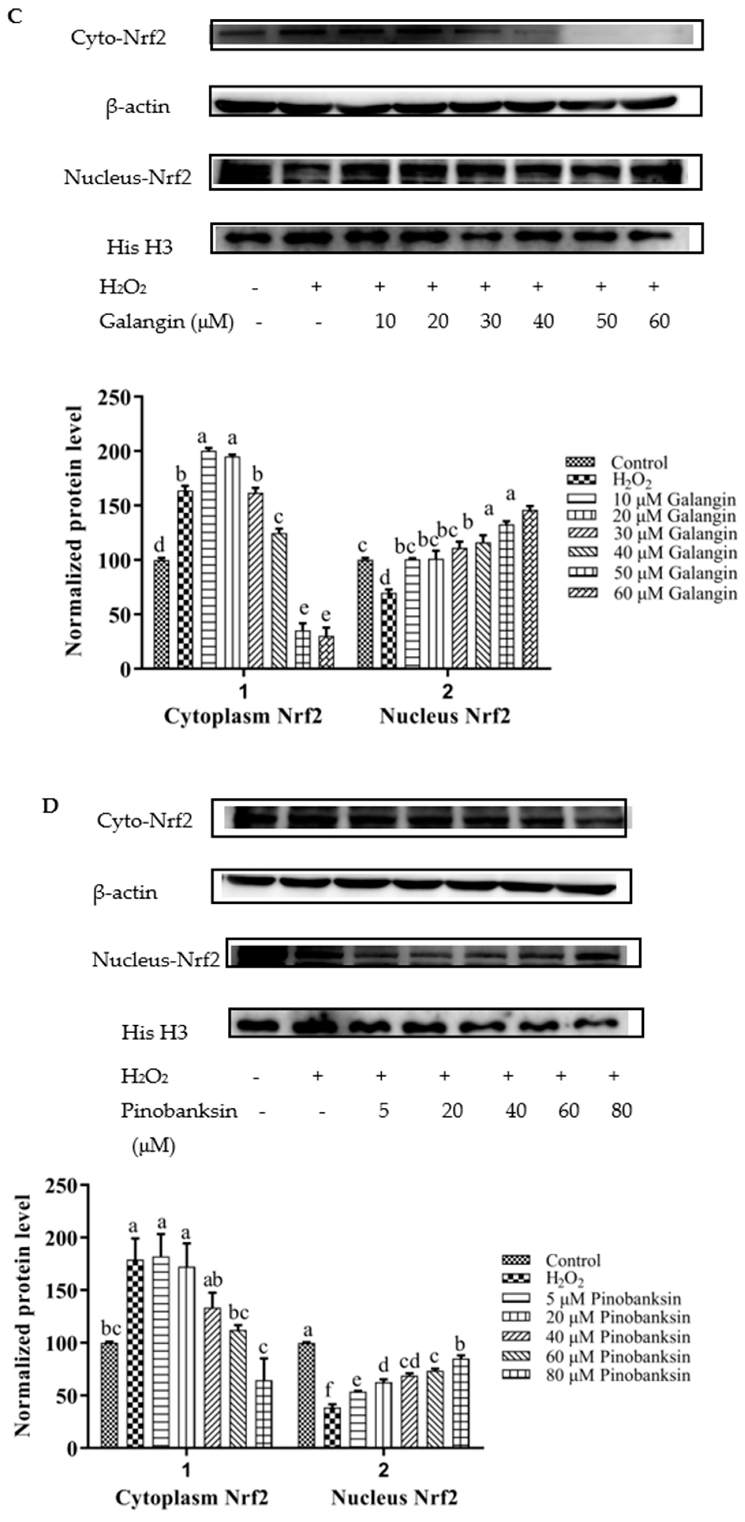 Foods 11 02439 g007b