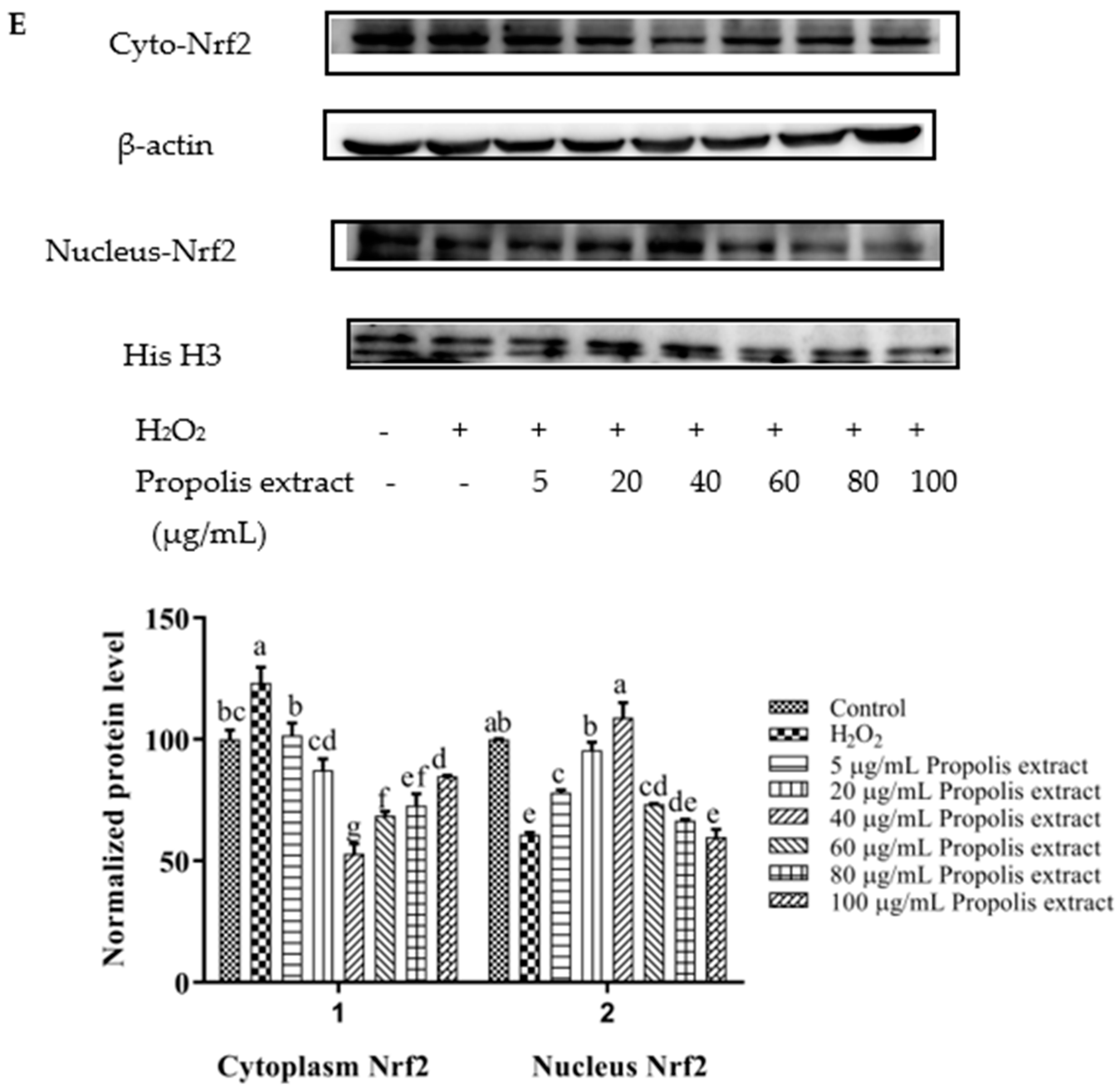 Foods 11 02439 g007c