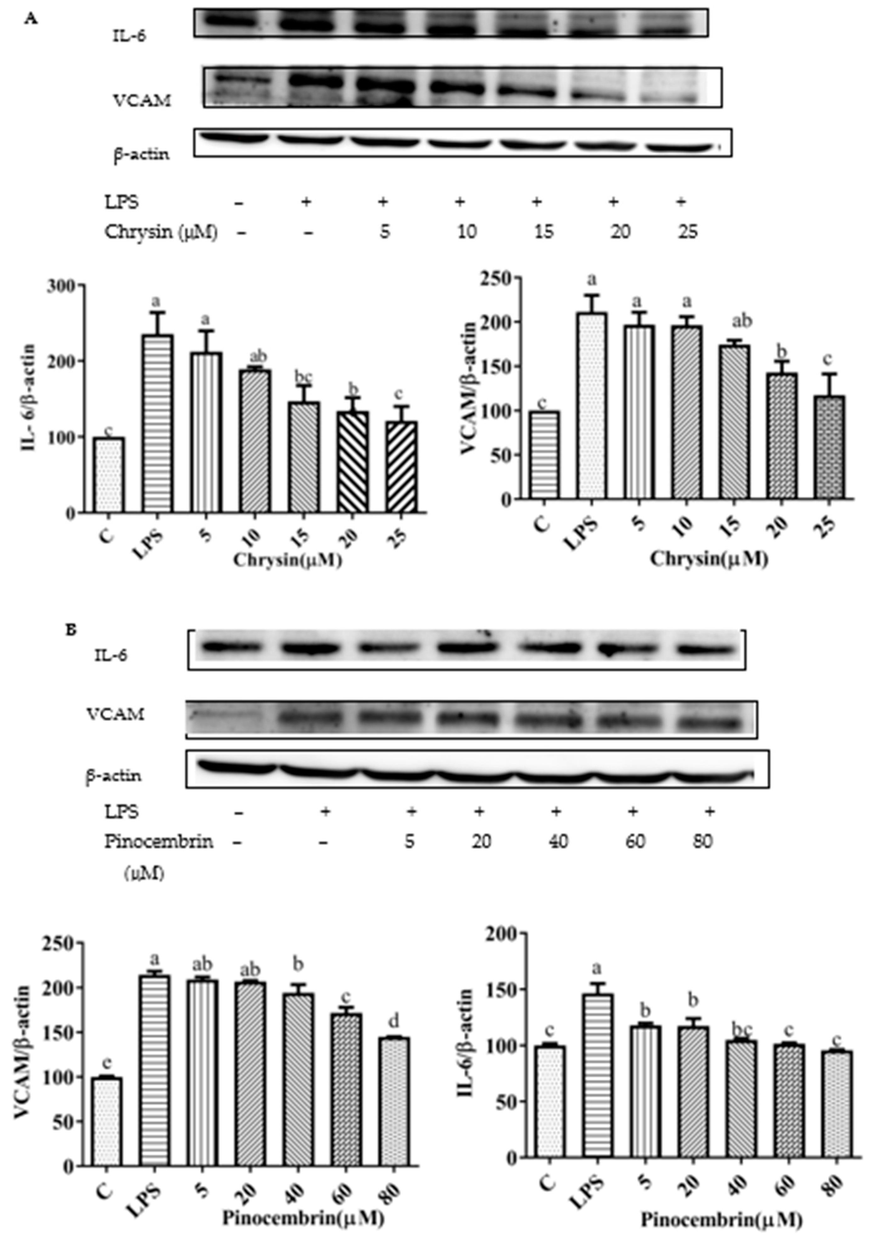 Foods 11 02439 g010a