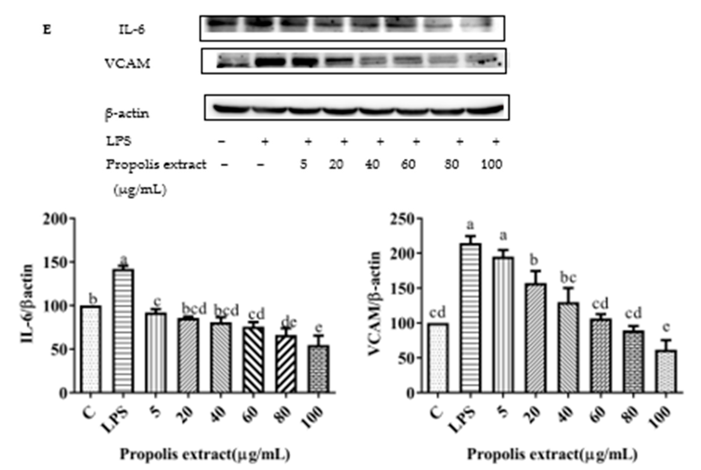 Foods 11 02439 g010c