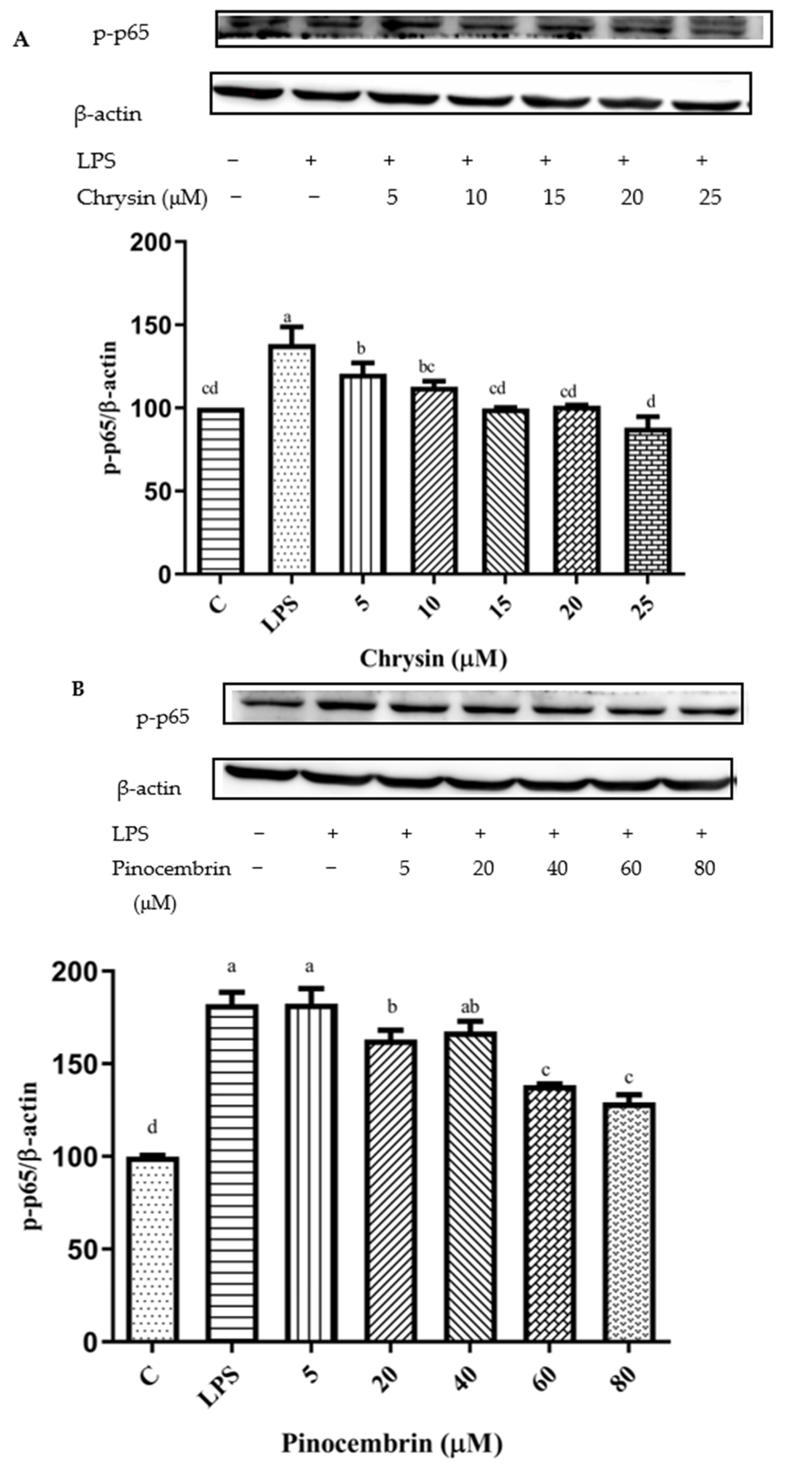 Foods 11 02439 g011a