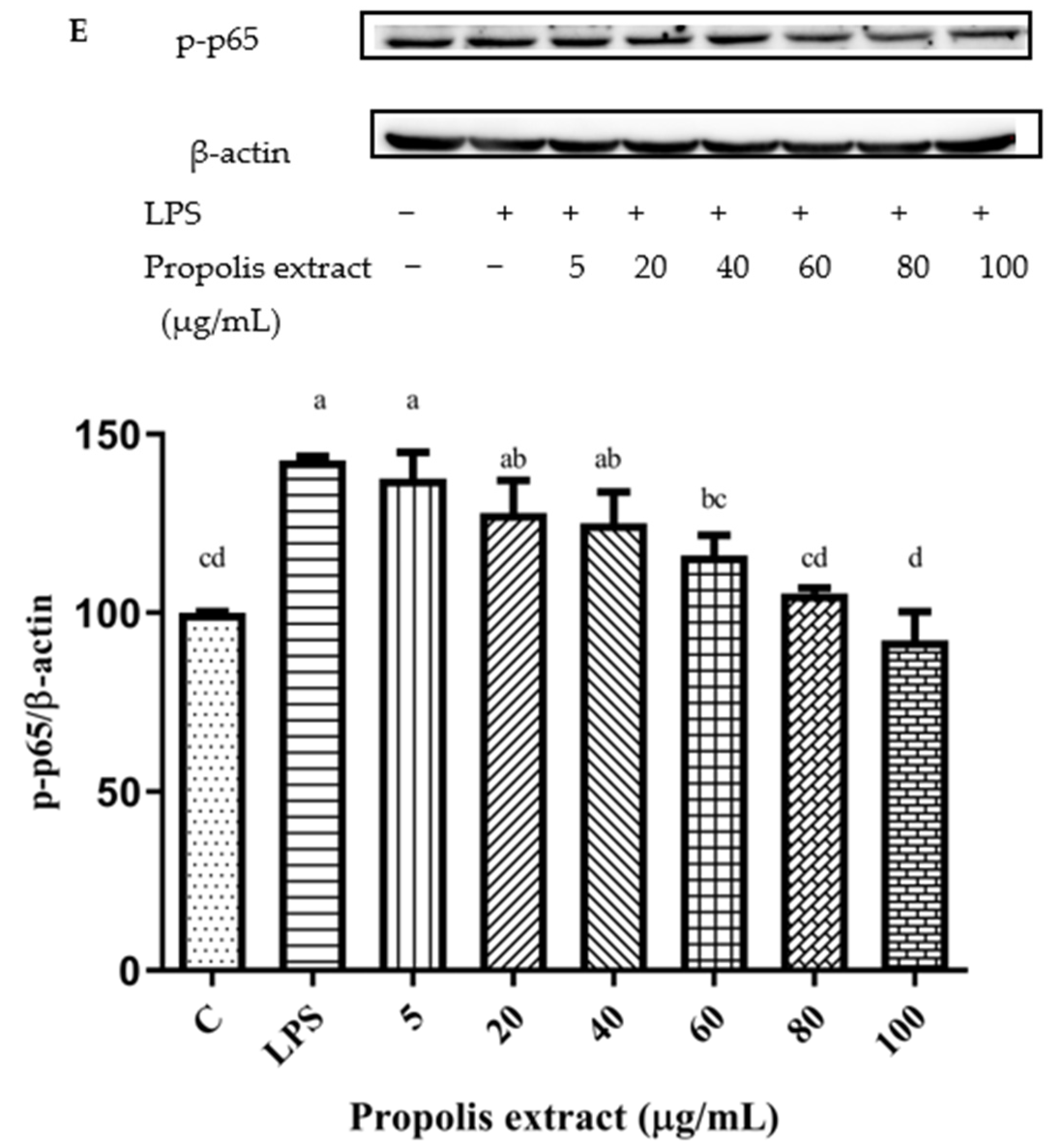 Foods 11 02439 g011c