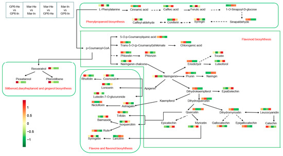 Foods 11 02461 g006 550