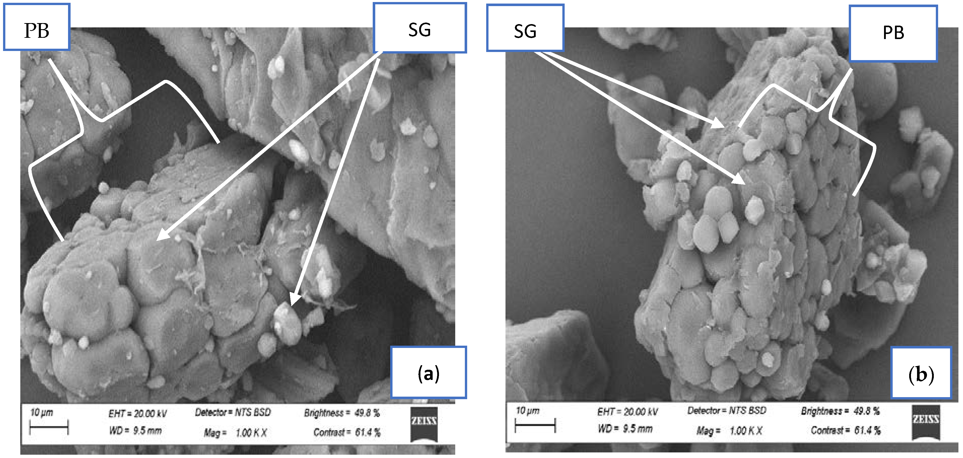 Foods 11 02474 g003a