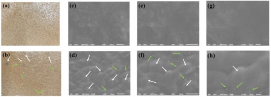 Foods 11 02513 g001 550