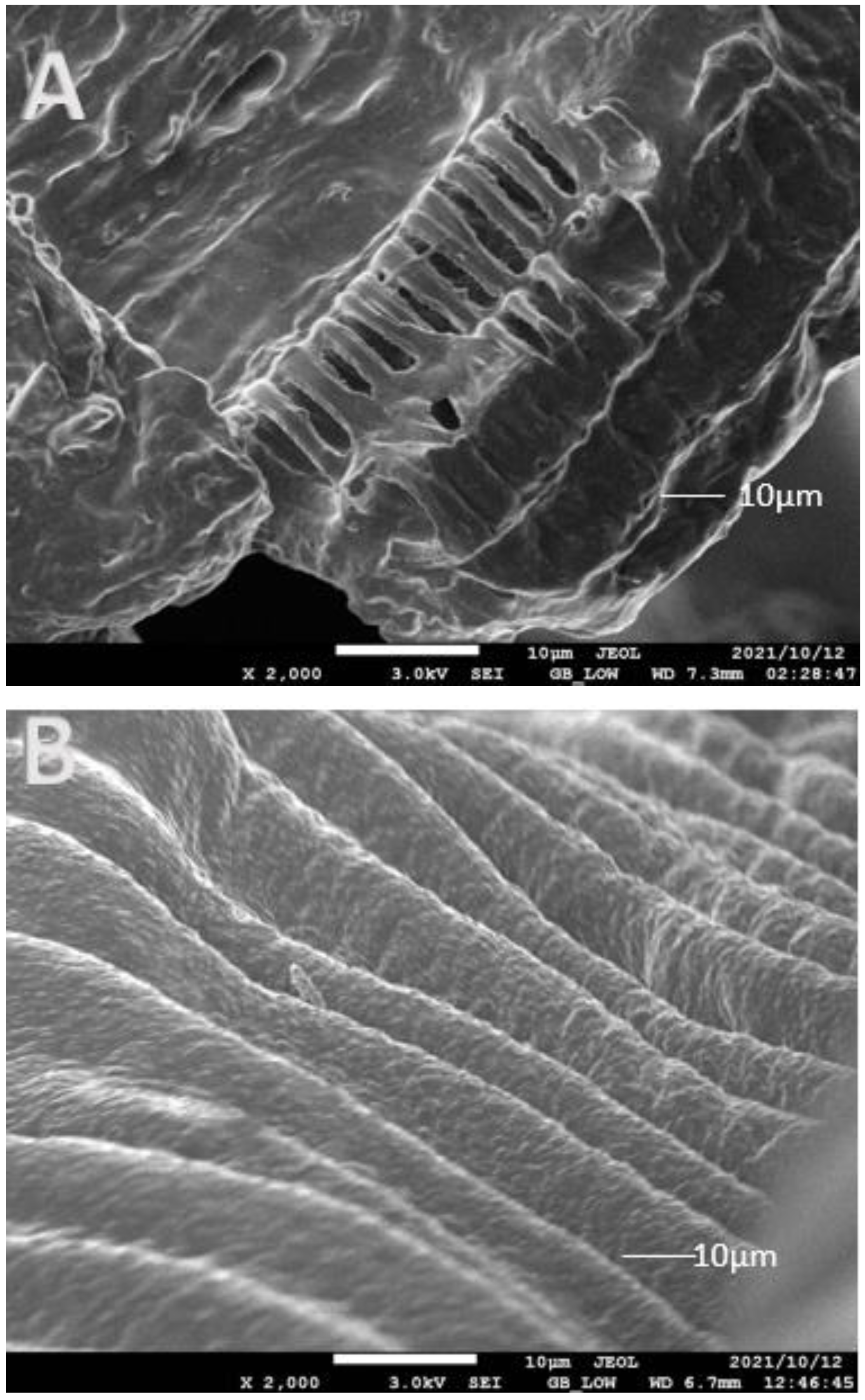 Foods 11 02550 g003a