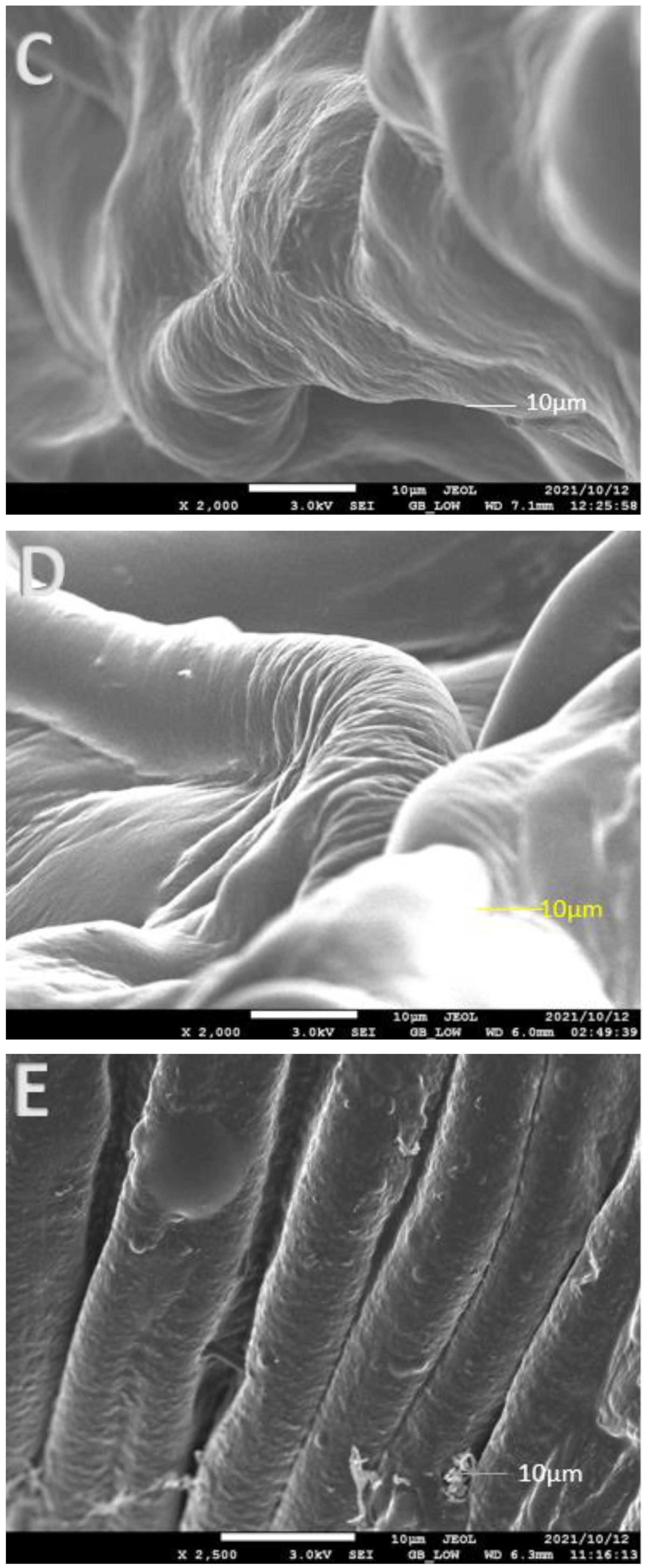 Foods 11 02550 g003b