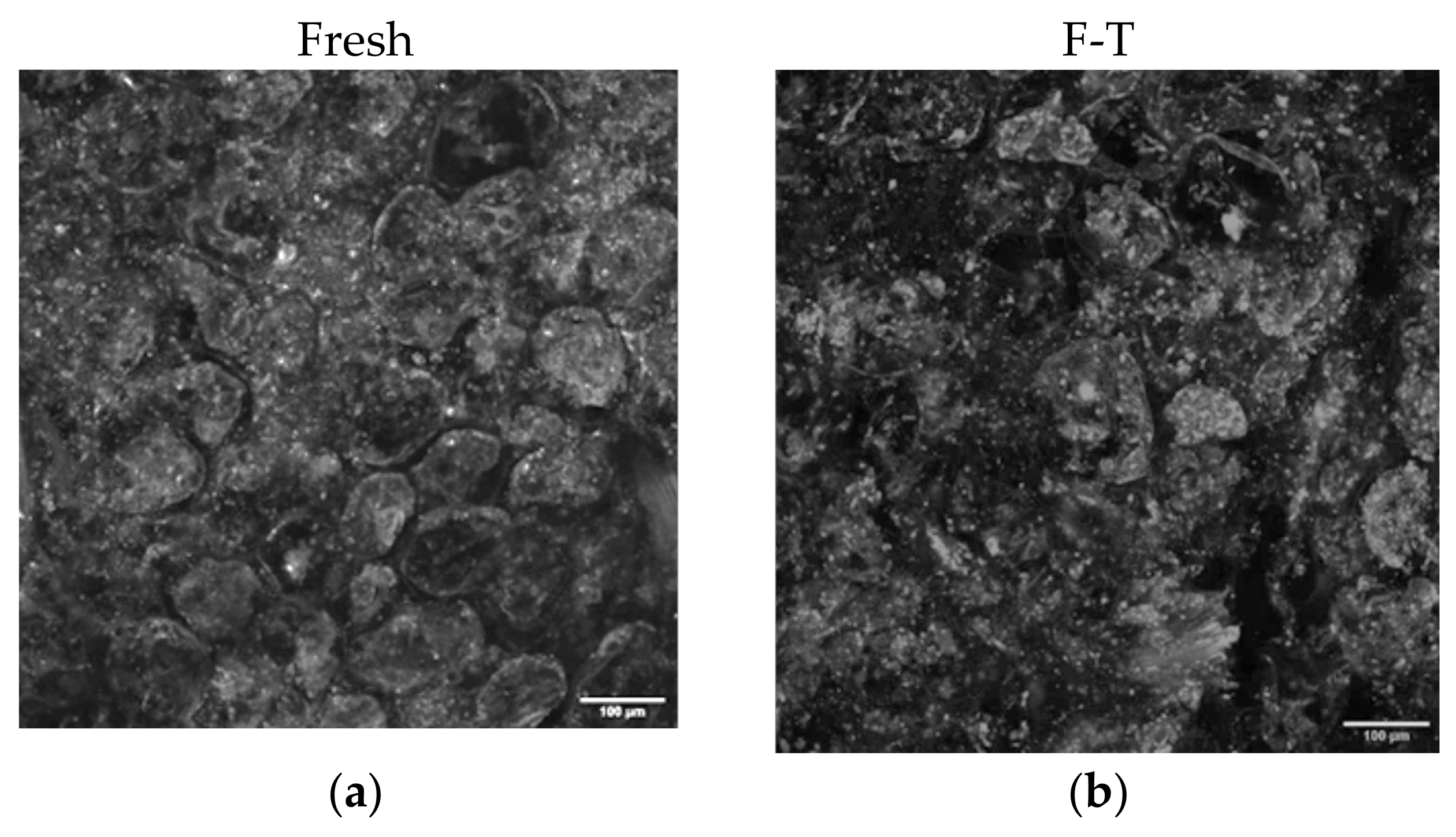 Foods 11 02551 g006a