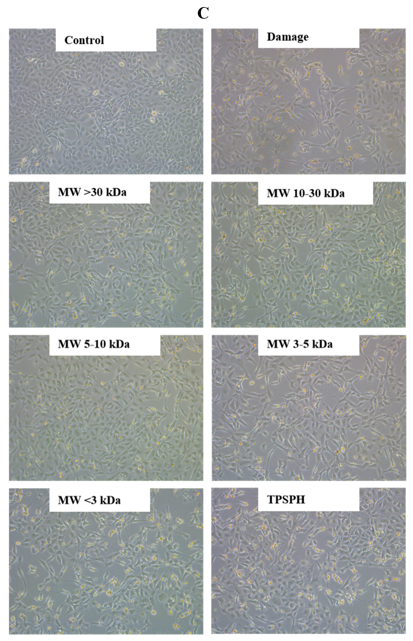 Foods 11 02592 g006c