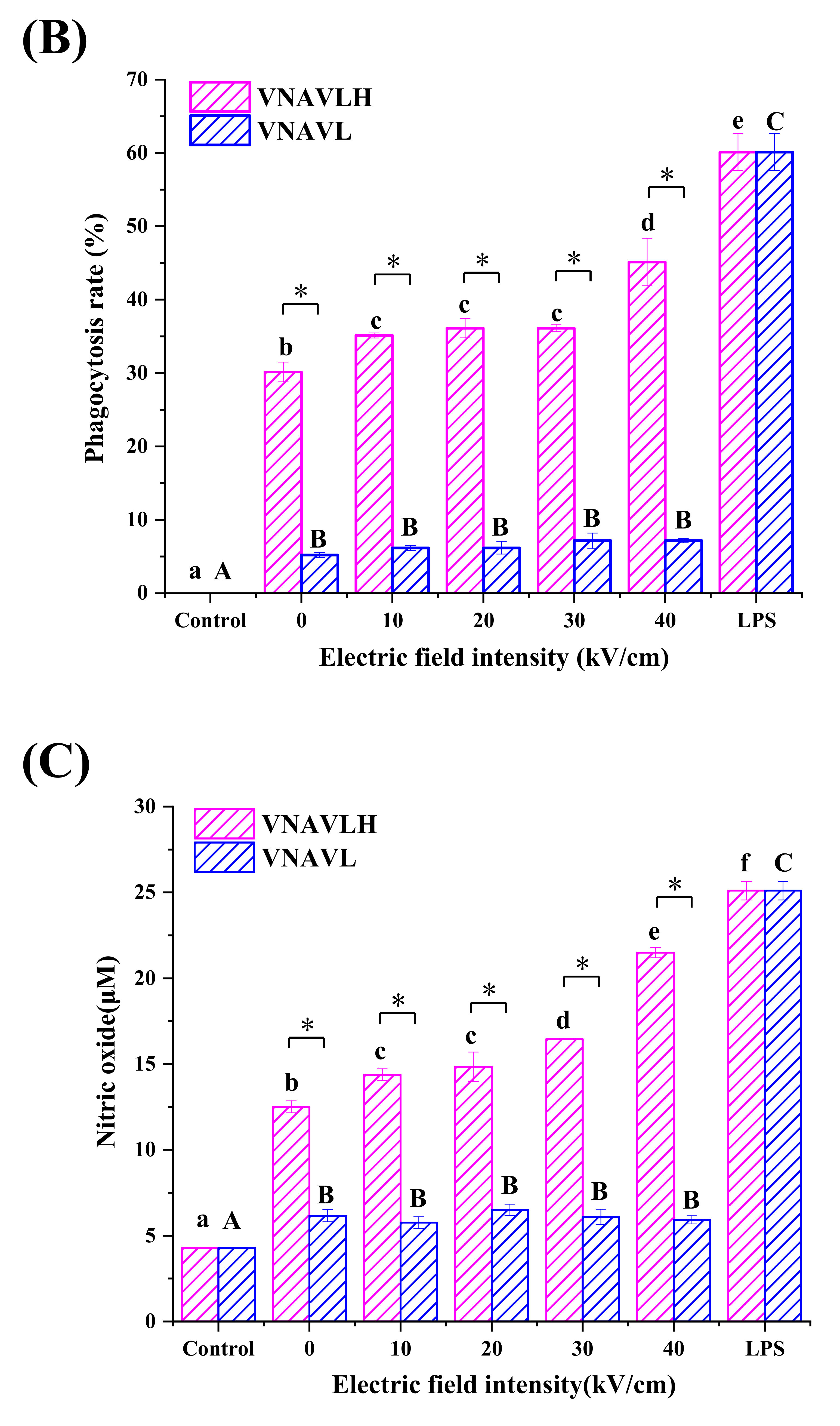 Foods 11 02649 g002b