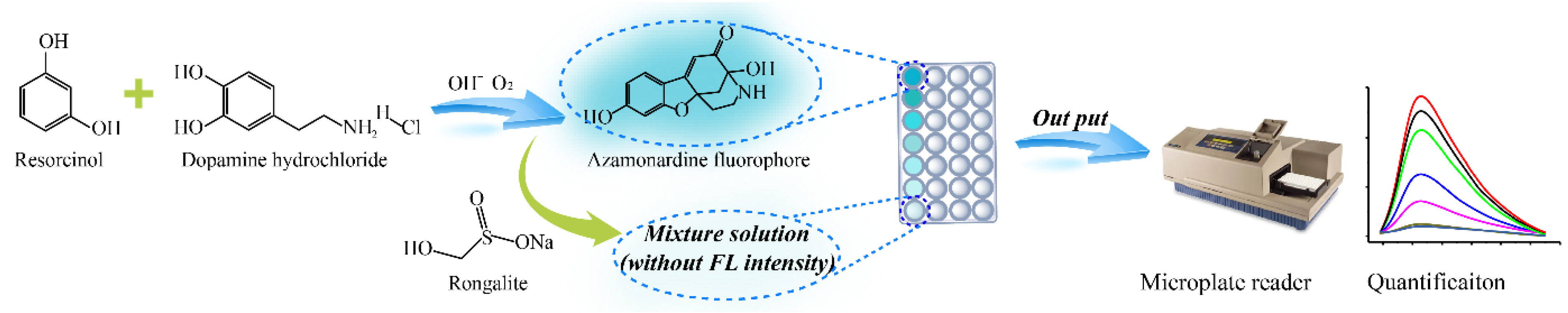 Foods 11 02650 sch001