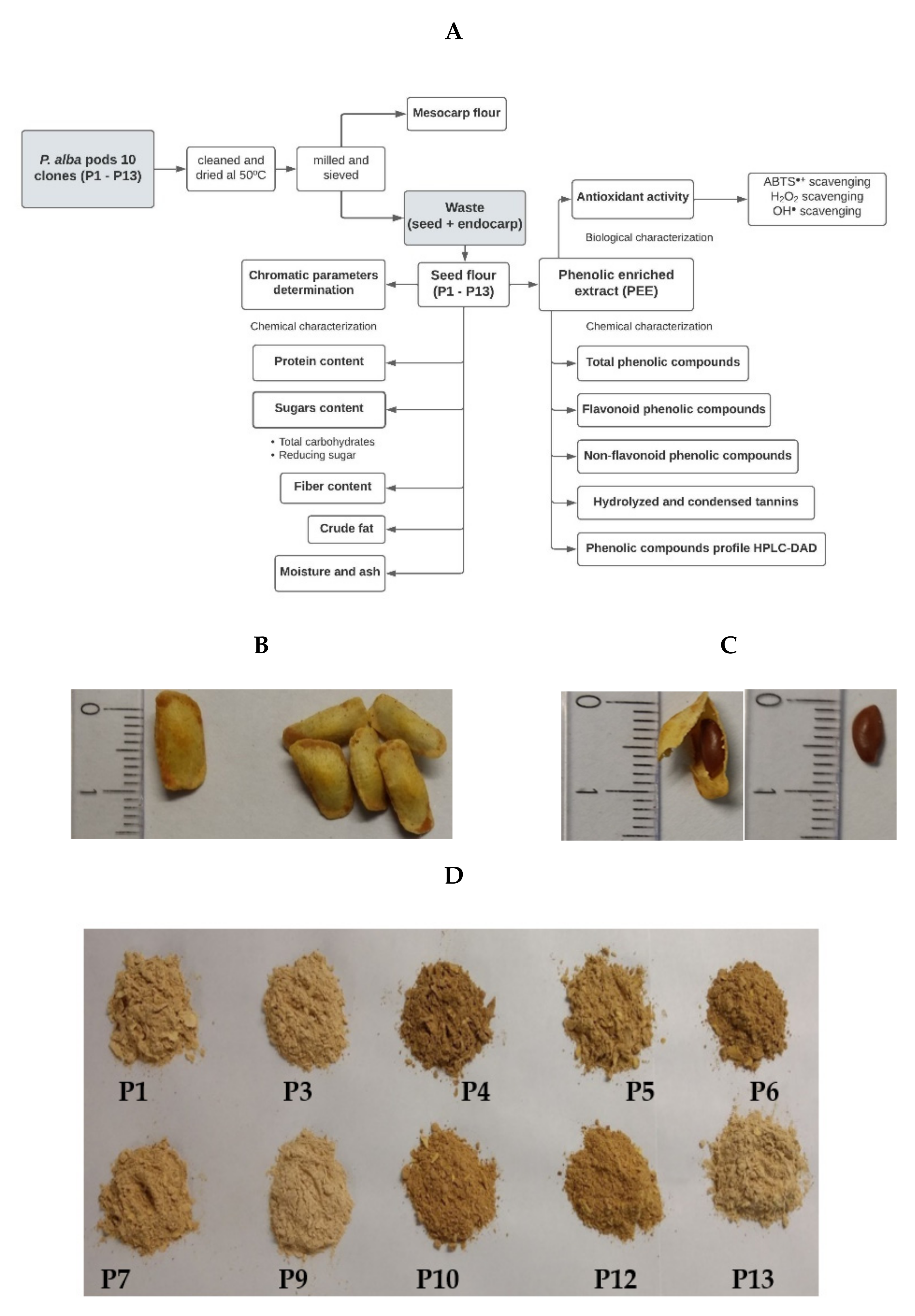 Foods 11 02857 g001