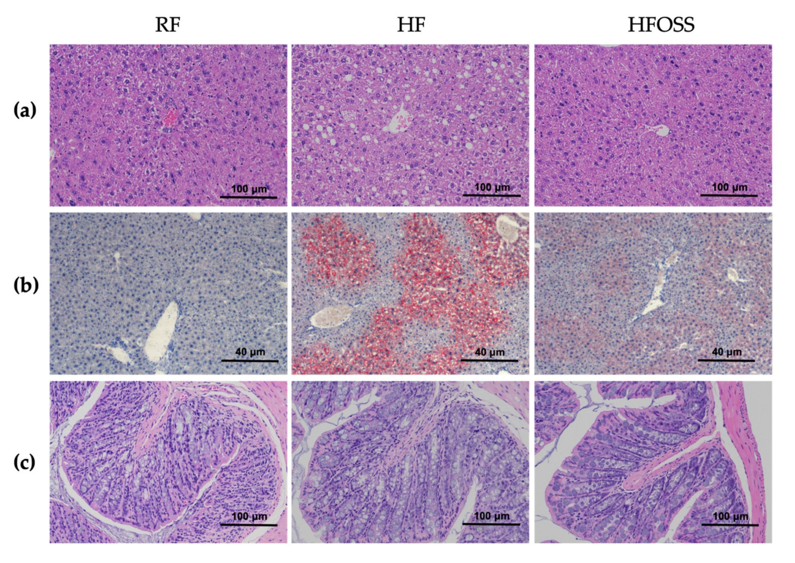 Foods 11 02980 g003 Foods 11 02980 g003