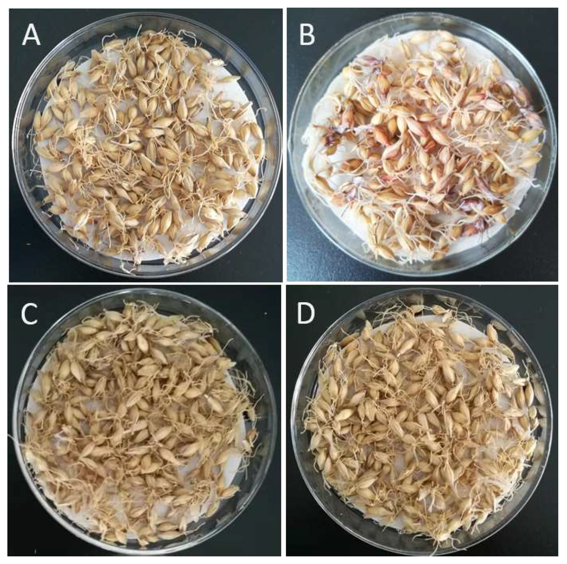 Foods 11 03058 g005 Foods 11 03058 g005