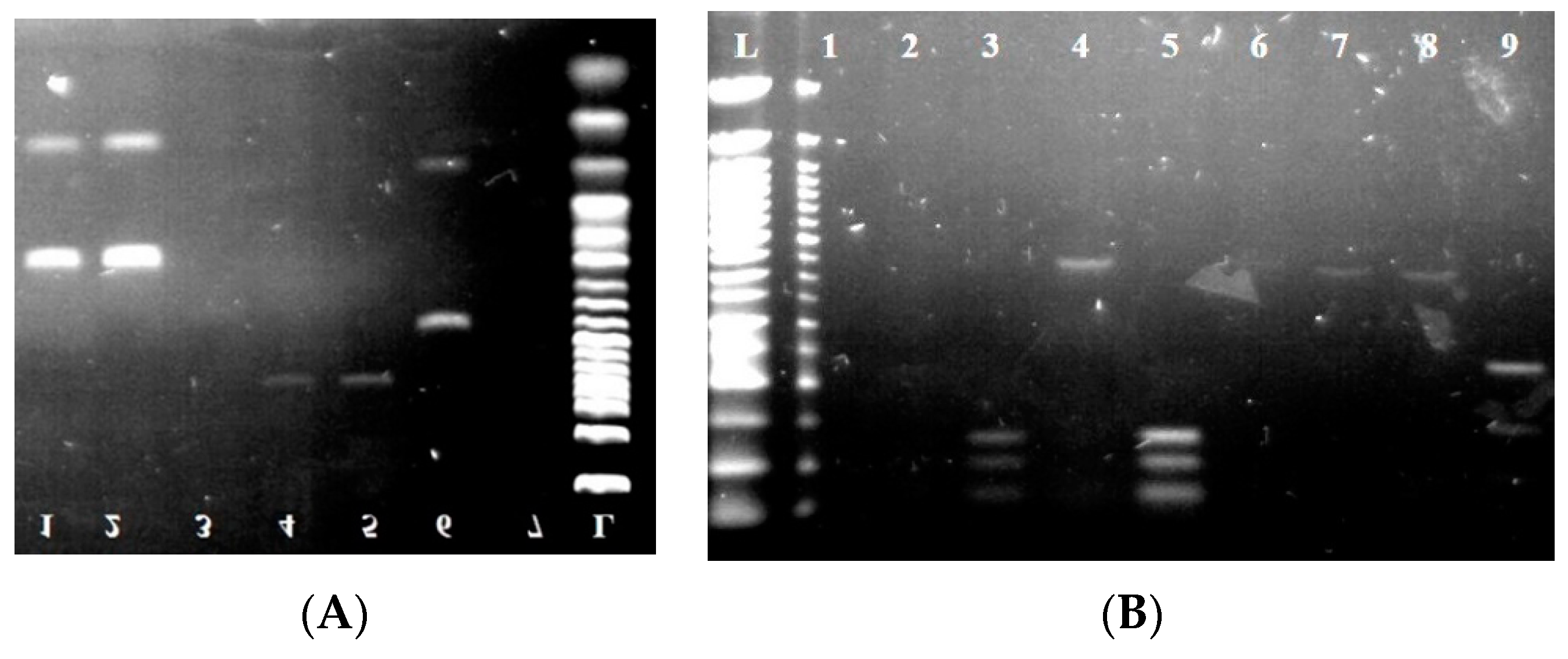 Foods 11 03061 g004a
