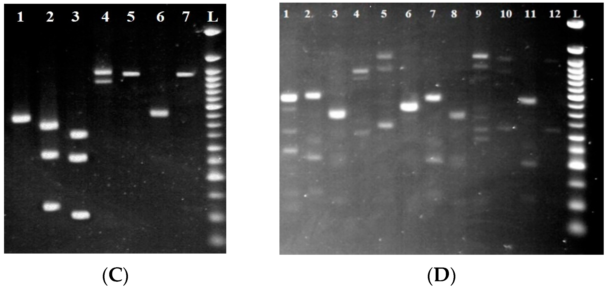 Foods 11 03061 g004b