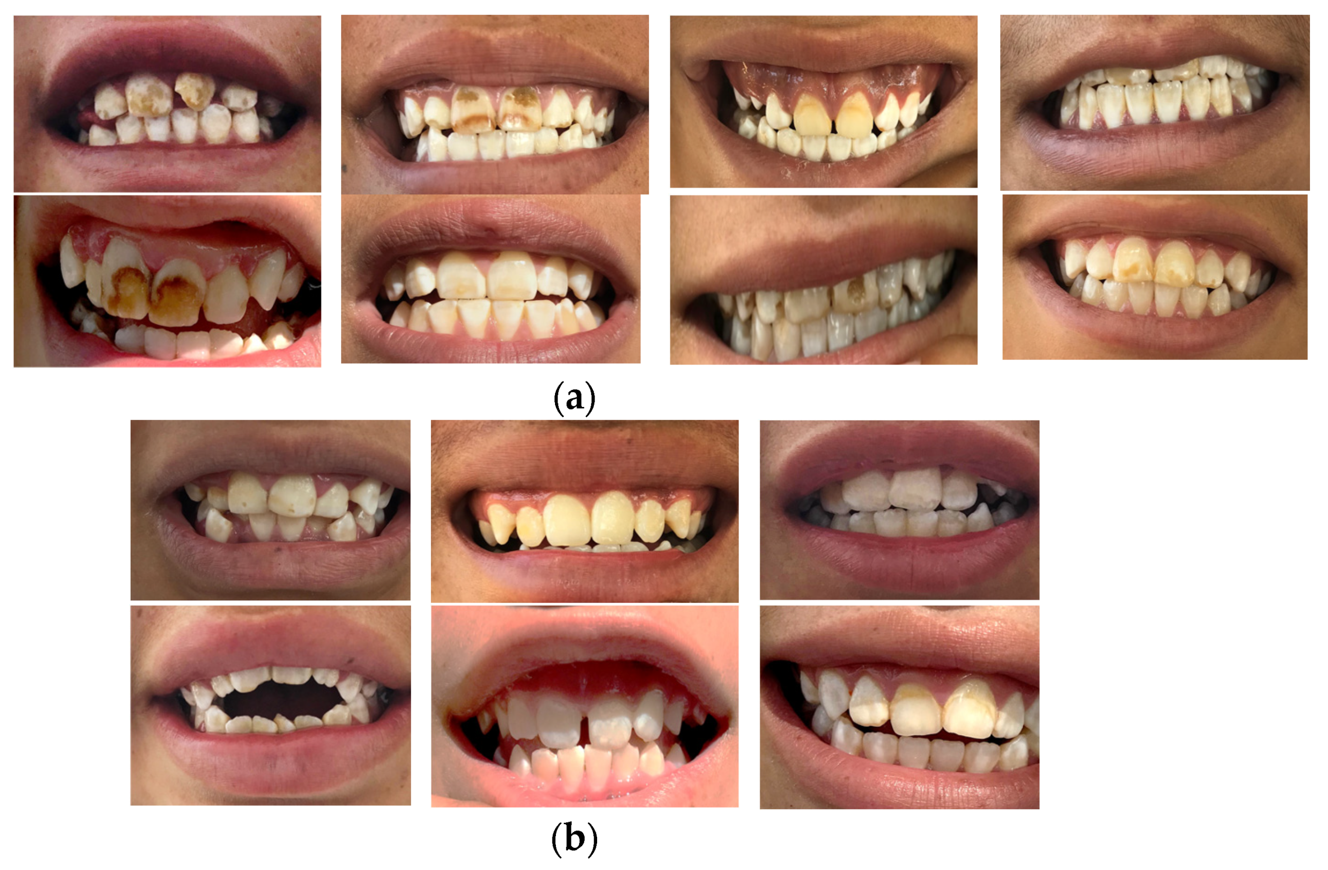Foods 11 03071 g004 Foods 11 03071 g004