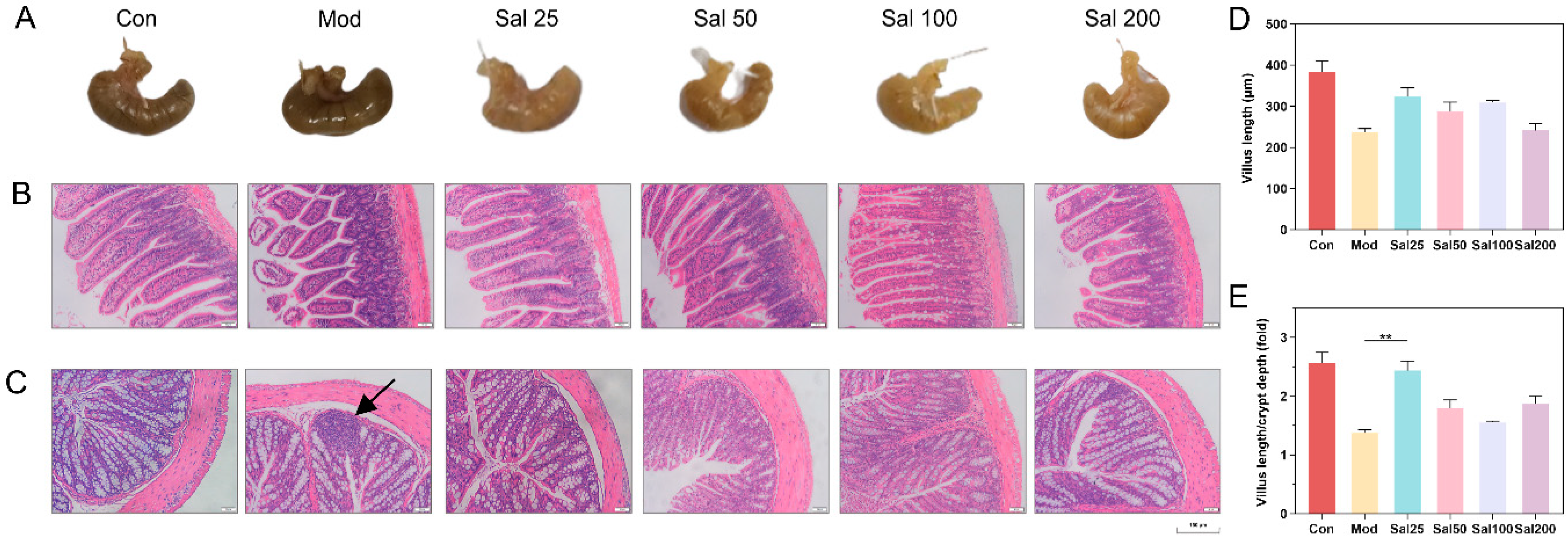 Foods 11 03073 g002 Foods 11 03073 g002