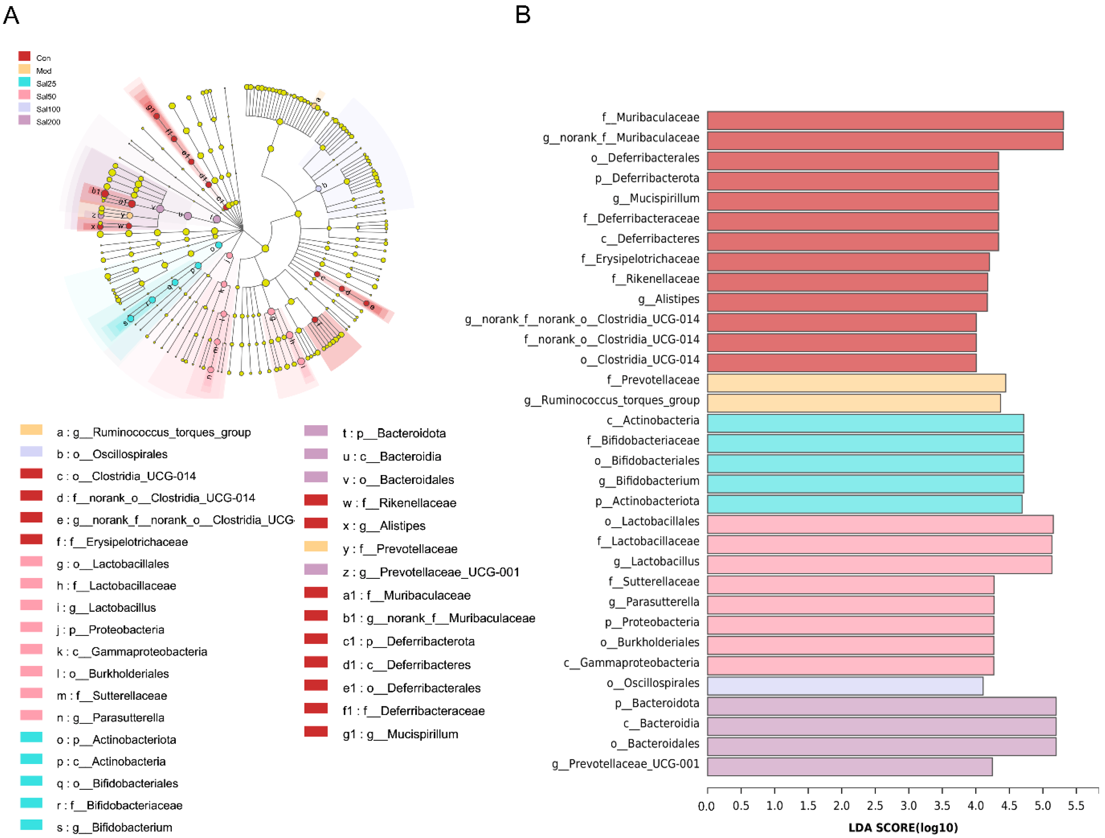 Foods 11 03073 g006 Foods 11 03073 g006