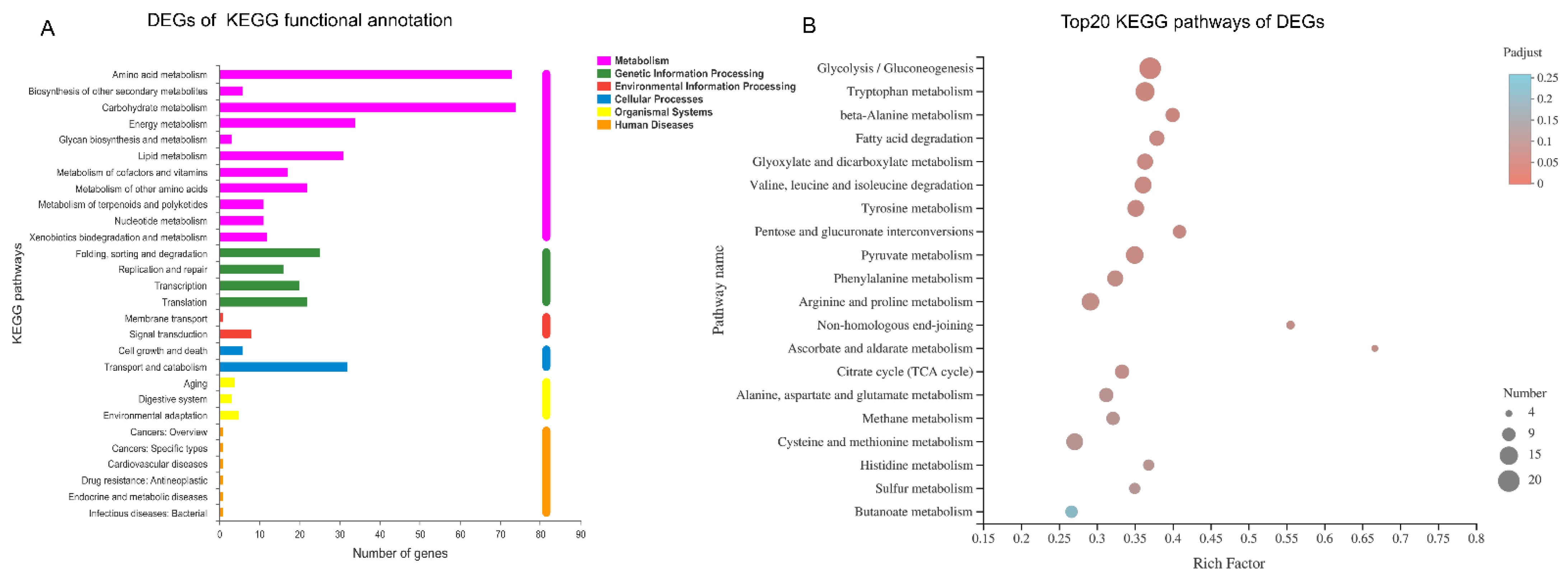 Foods 11 03159 g007 Foods 11 03159 g007