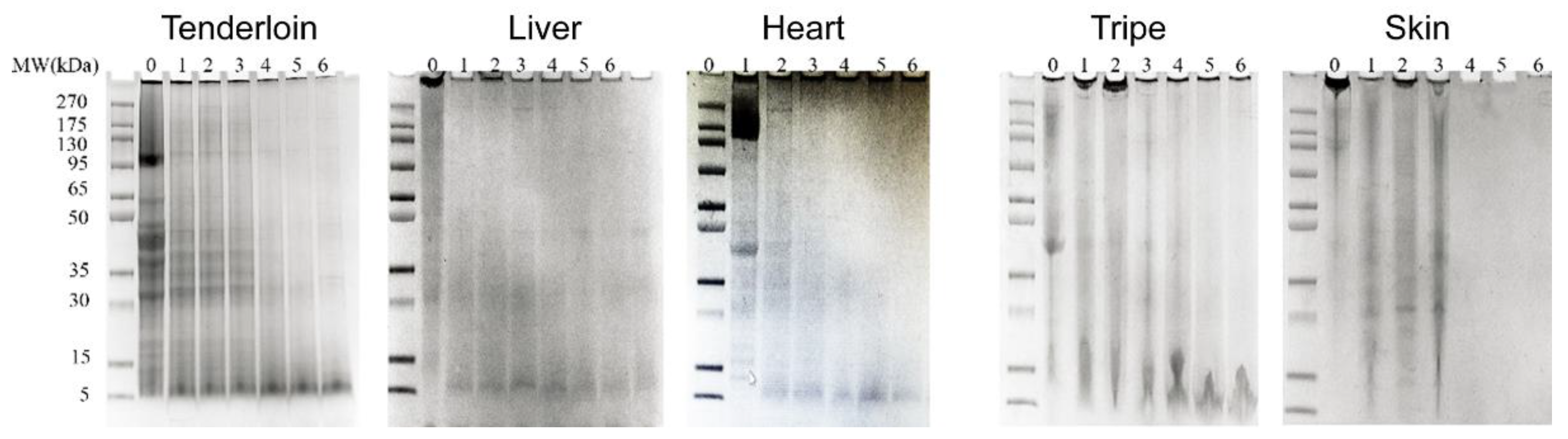 Foods 11 03191 g001 Foods 11 03191 g001