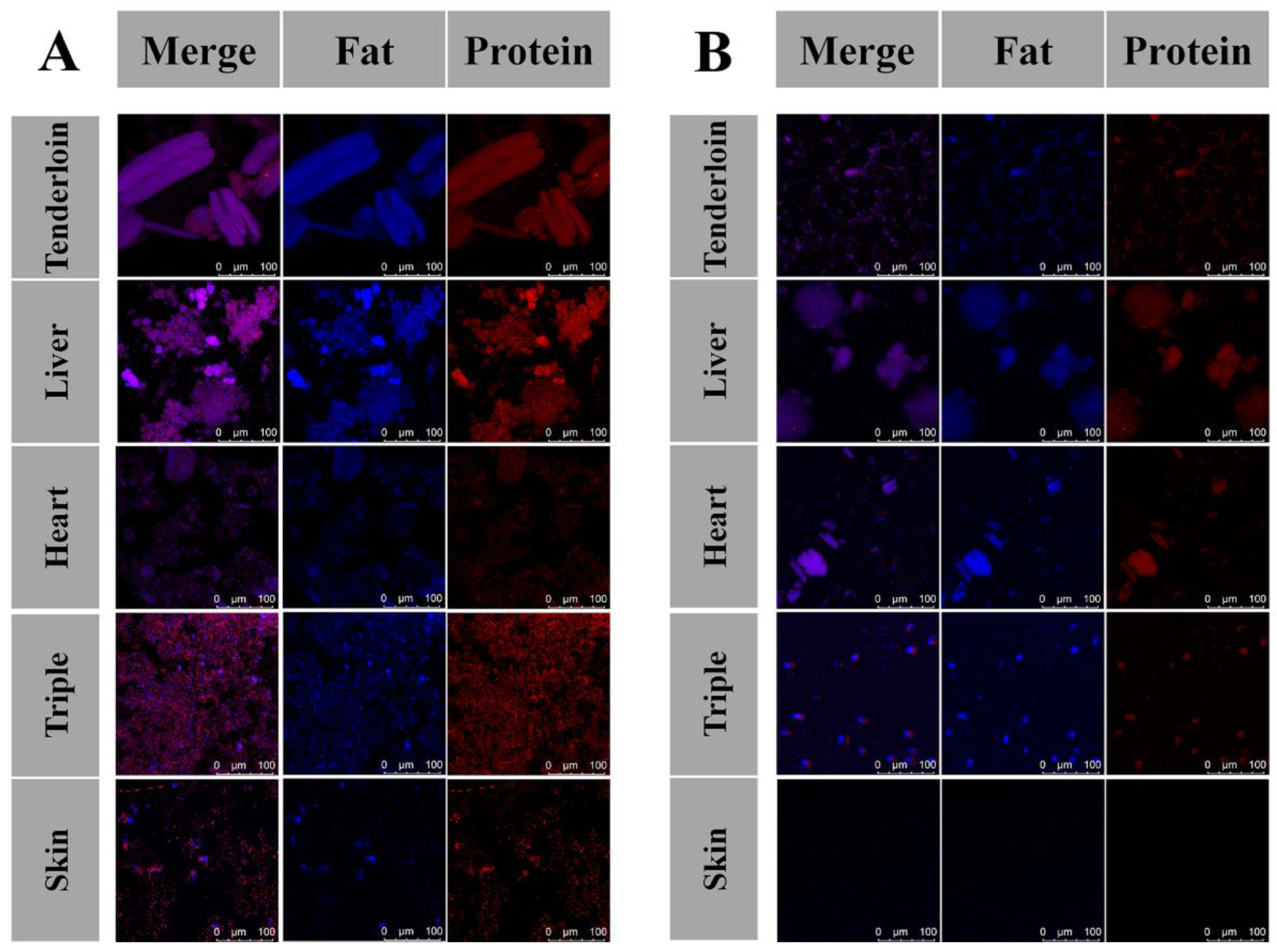 Foods 11 03191 g002 Foods 11 03191 g002