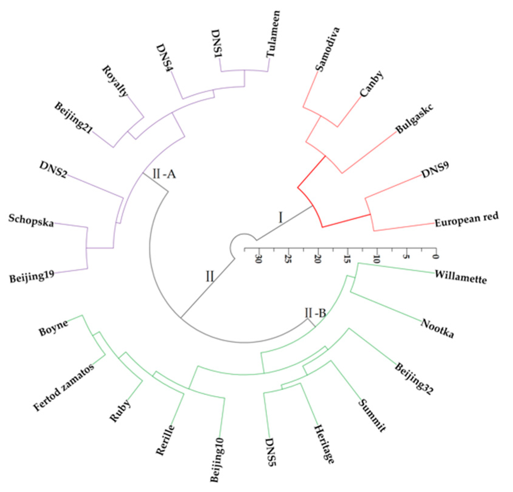 Foods 11 03232 g006 Foods 11 03232 g006