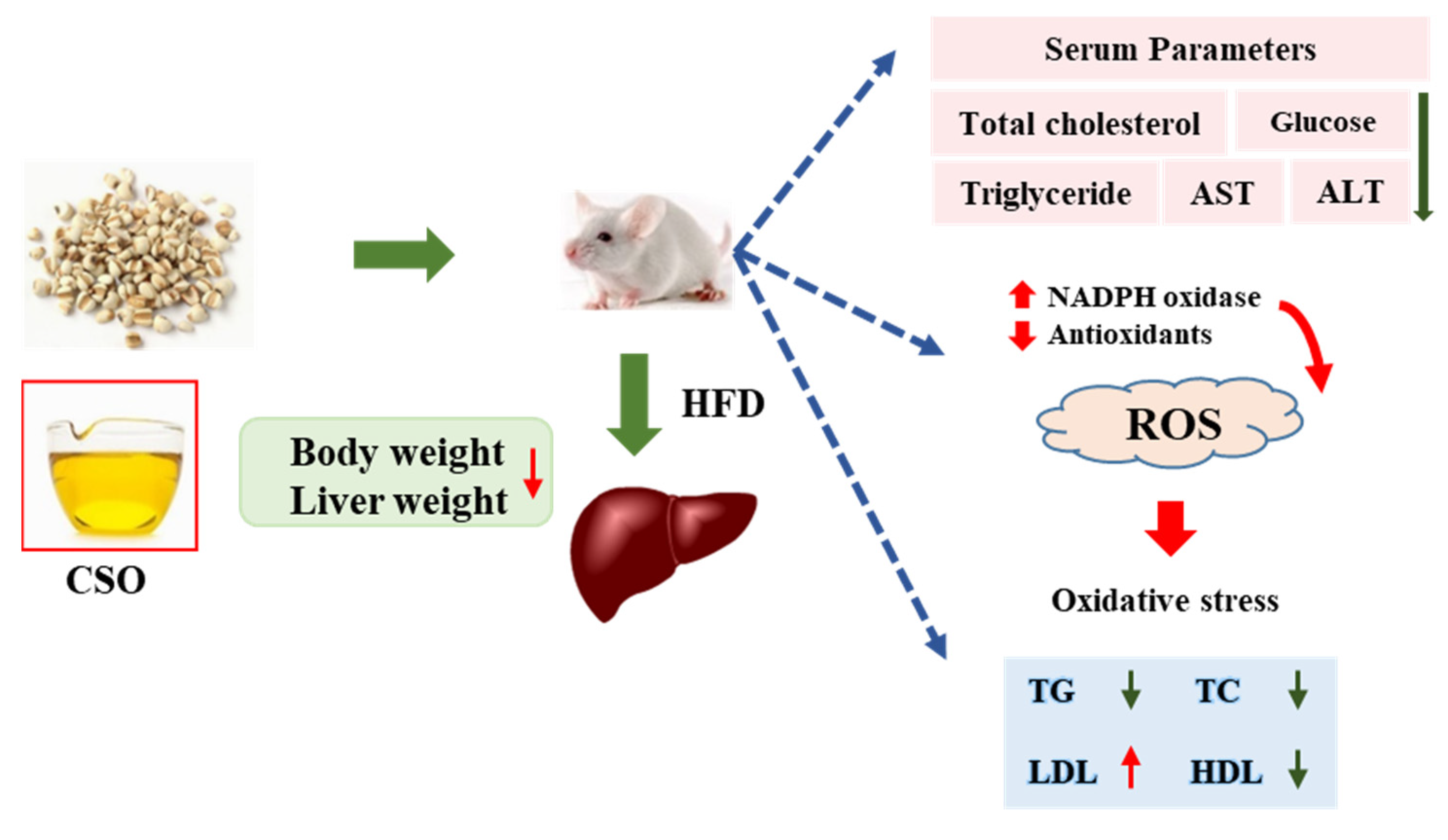 Foods 11 03267 g005 Foods 11 03267 g005