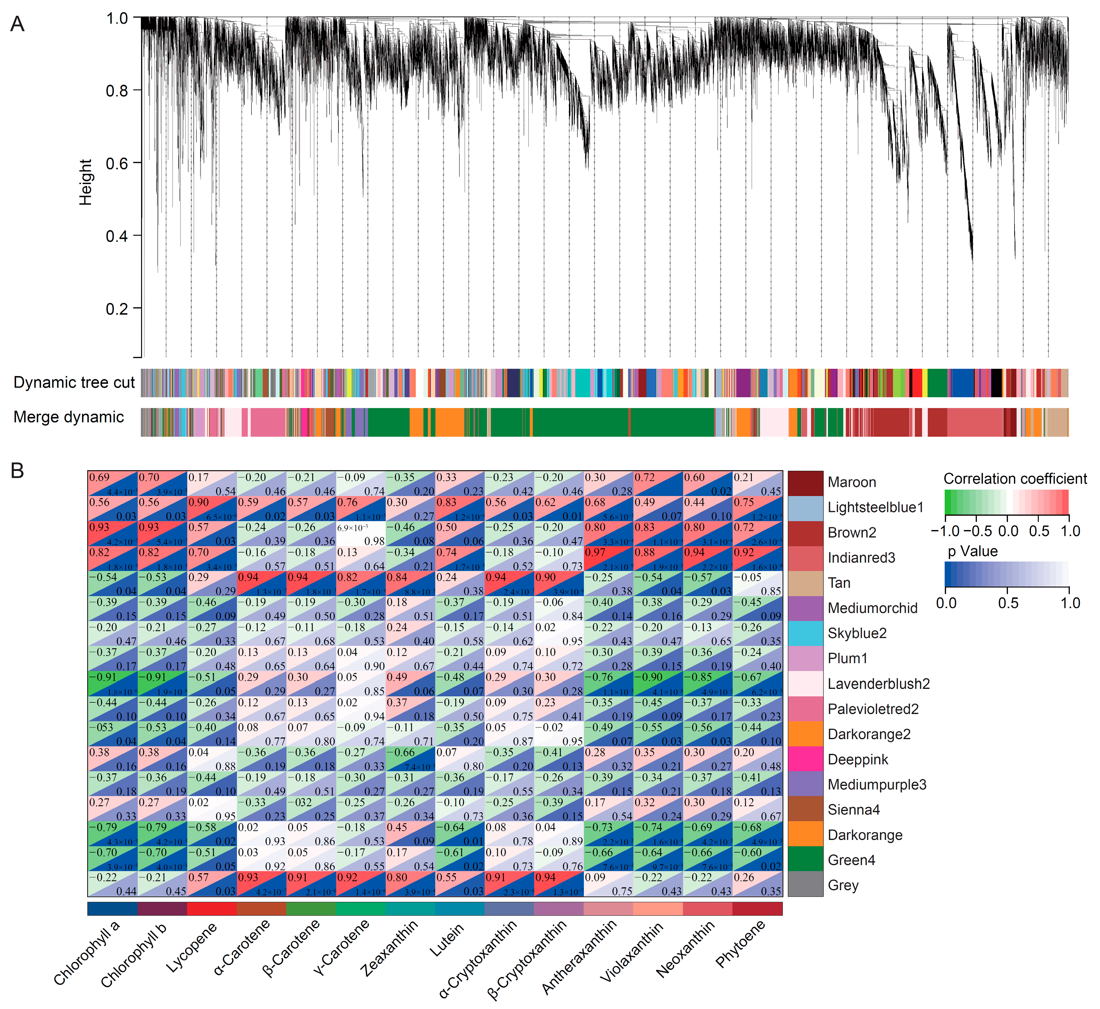 Foods 11 03278 g004 Foods 11 03278 g004