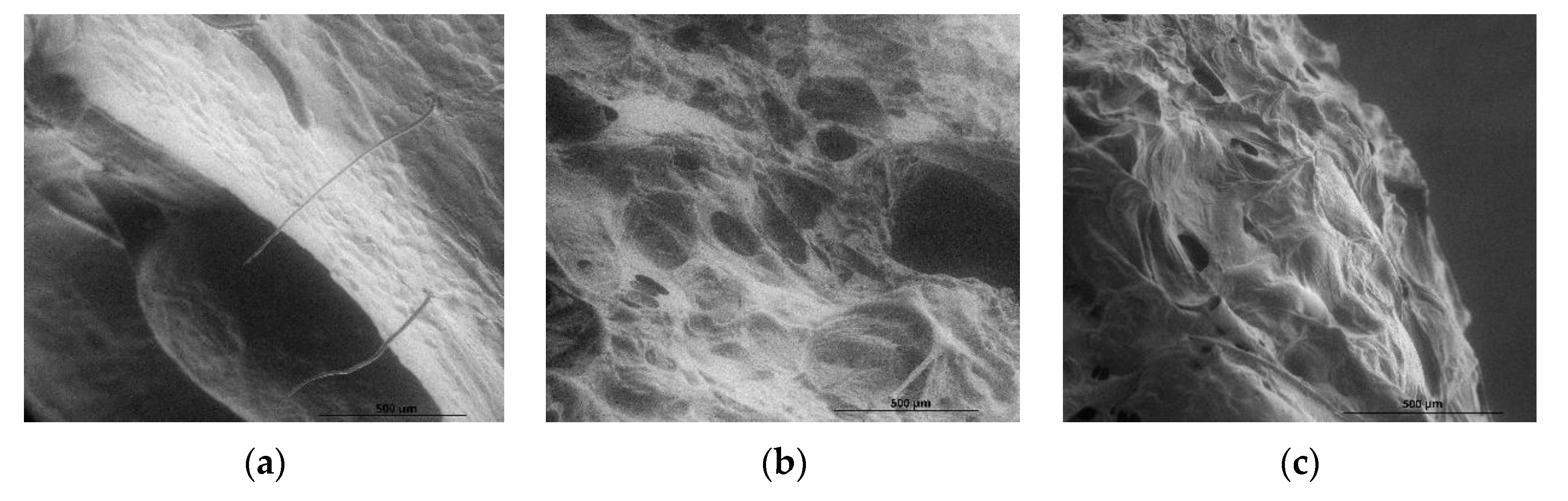 Foods 11 03317 g002a