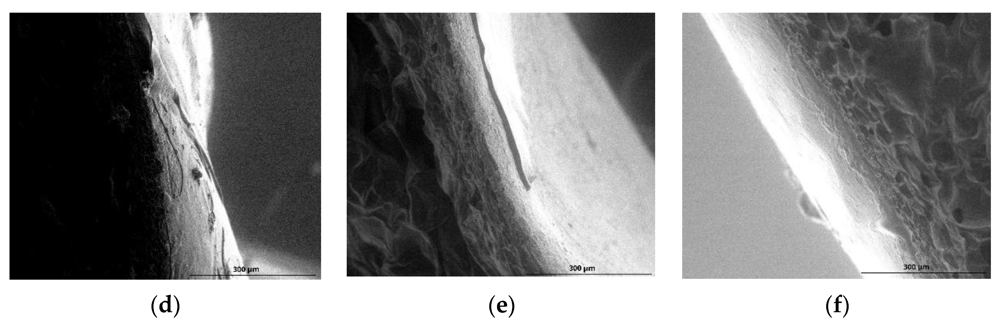 Foods 11 03317 g002b