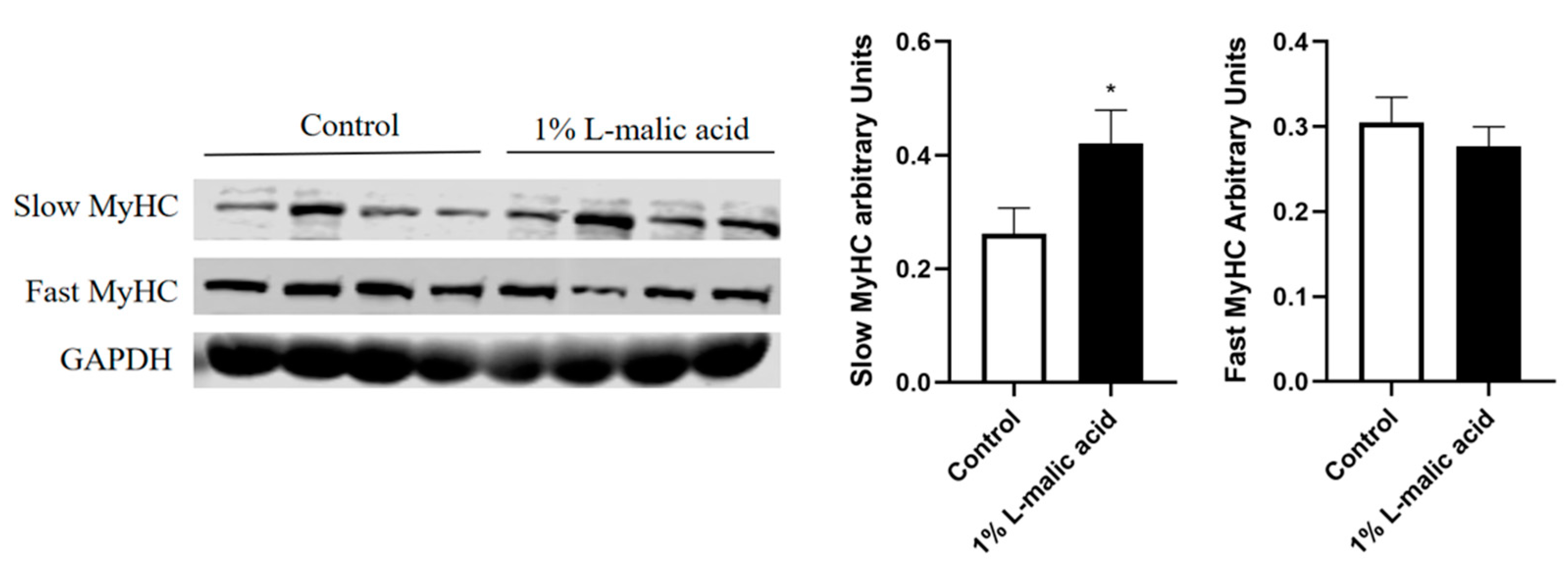 Foods 11 03335 g001 Foods 11 03335 g001