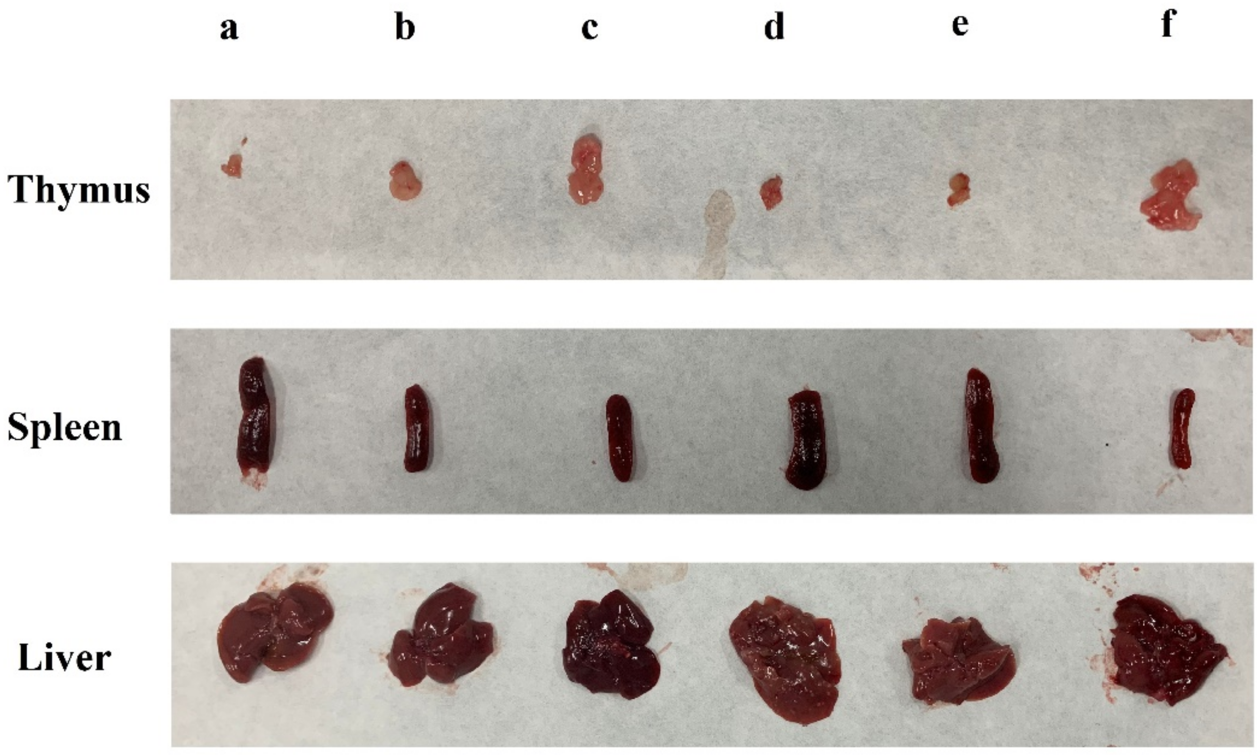 Foods 11 03340 g002 Foods 11 03340 g002