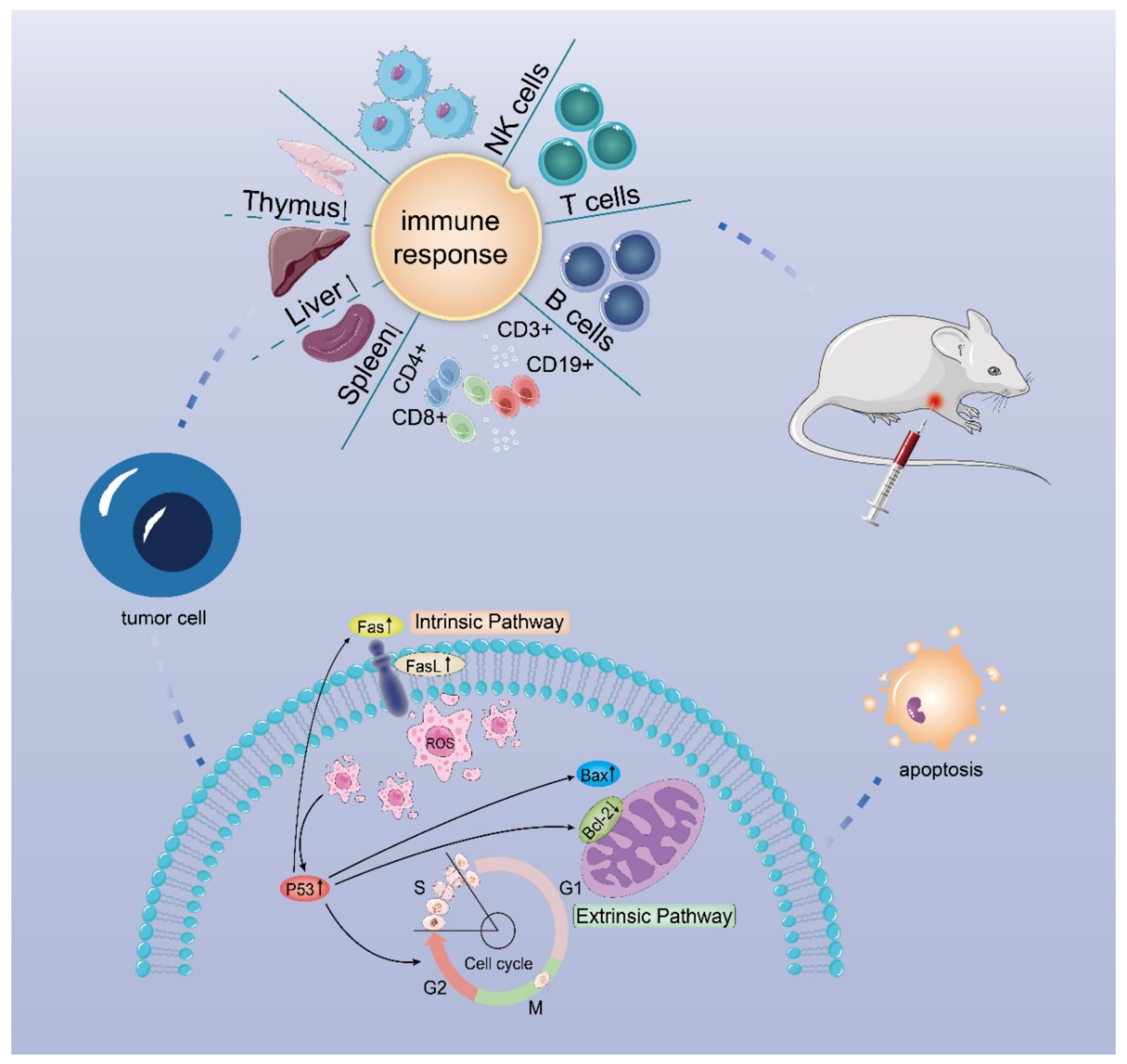 Foods 11 03340 g010 Foods 11 03340 g010
