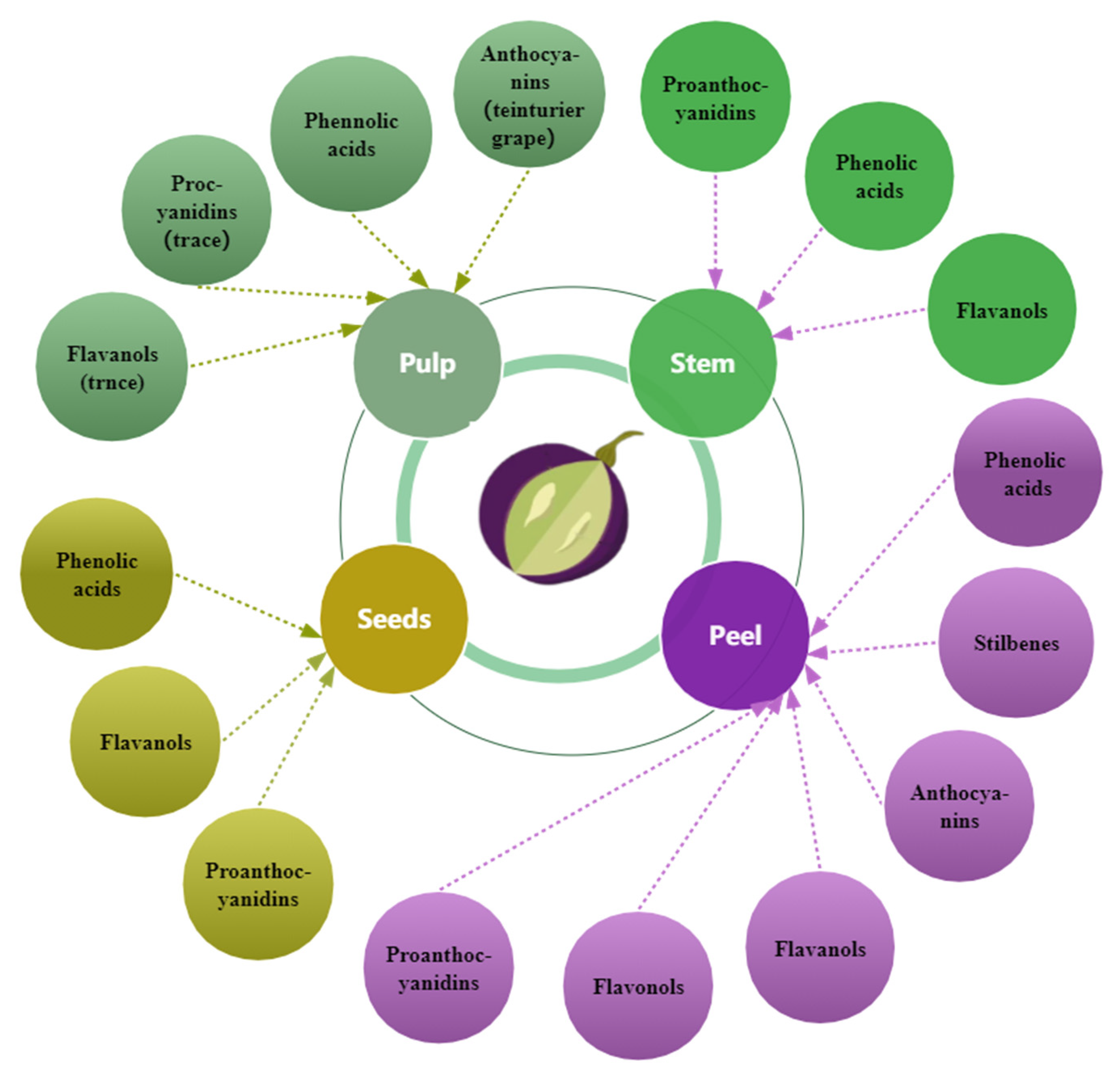 Foods 11 03345 g003 Foods 11 03345 g003
