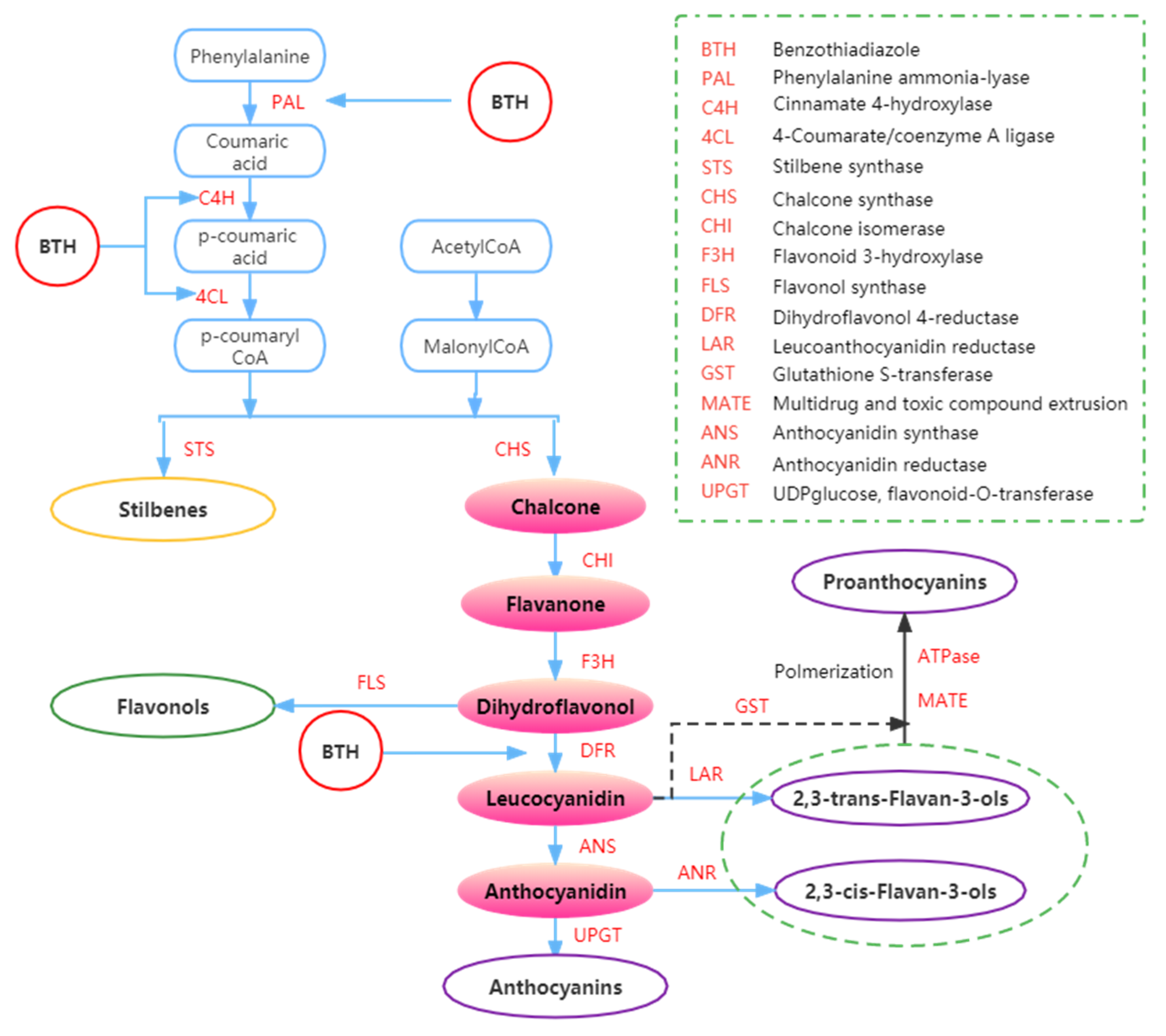 Foods 11 03345 g004 Foods 11 03345 g004
