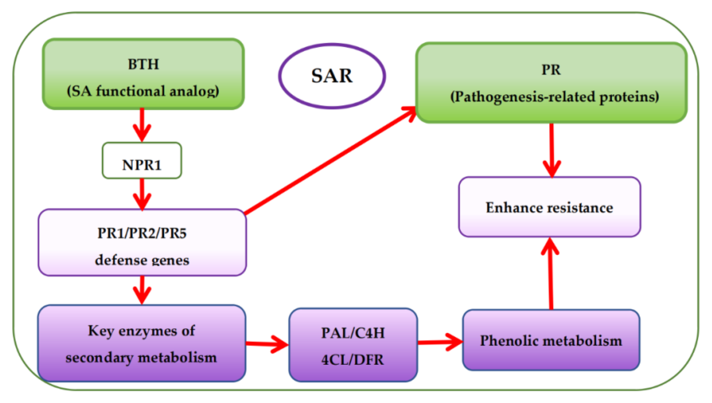 Foods 11 03345 g005 Foods 11 03345 g005