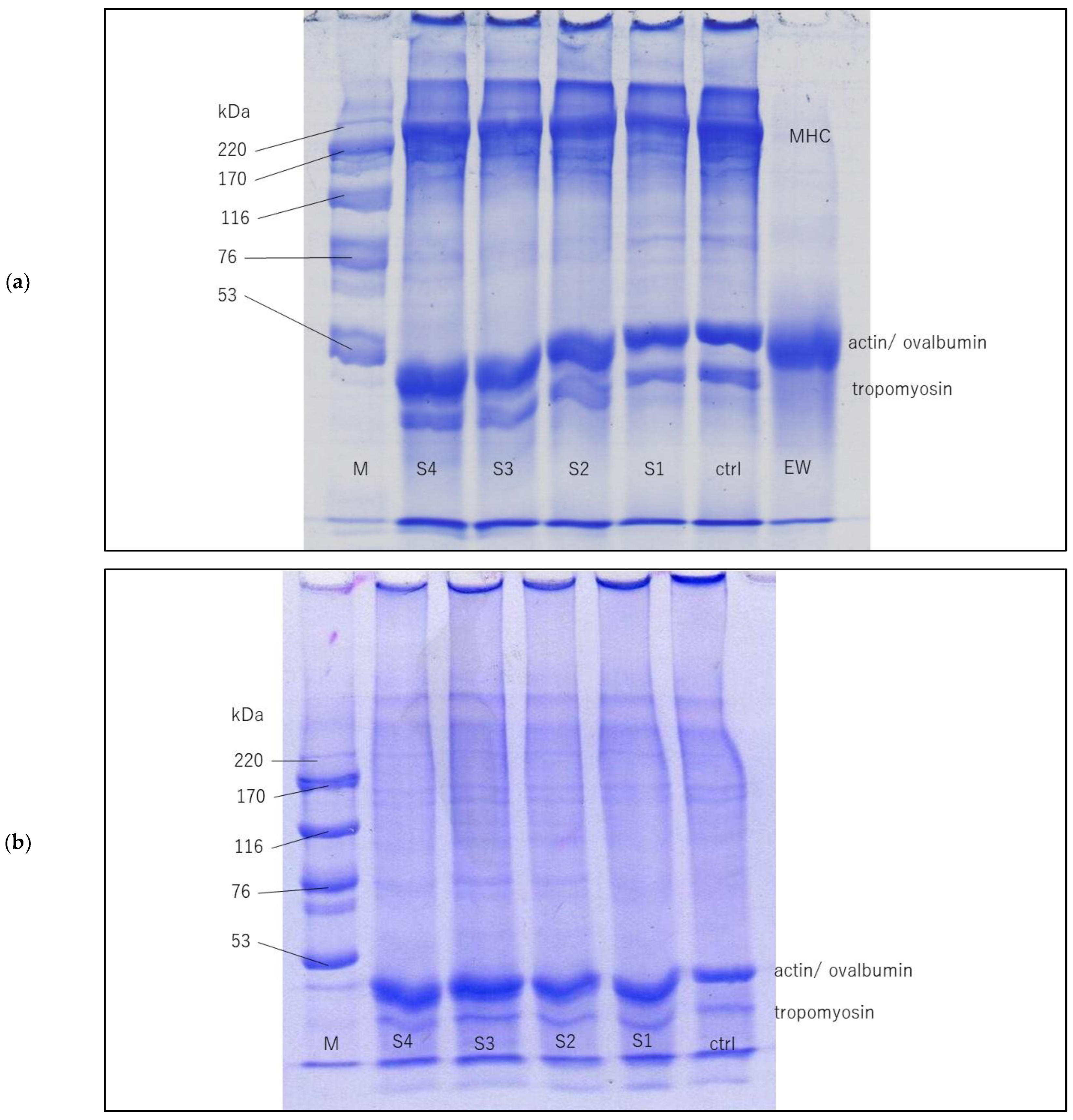 Foods 11 03350 g002 Foods 11 03350 g002