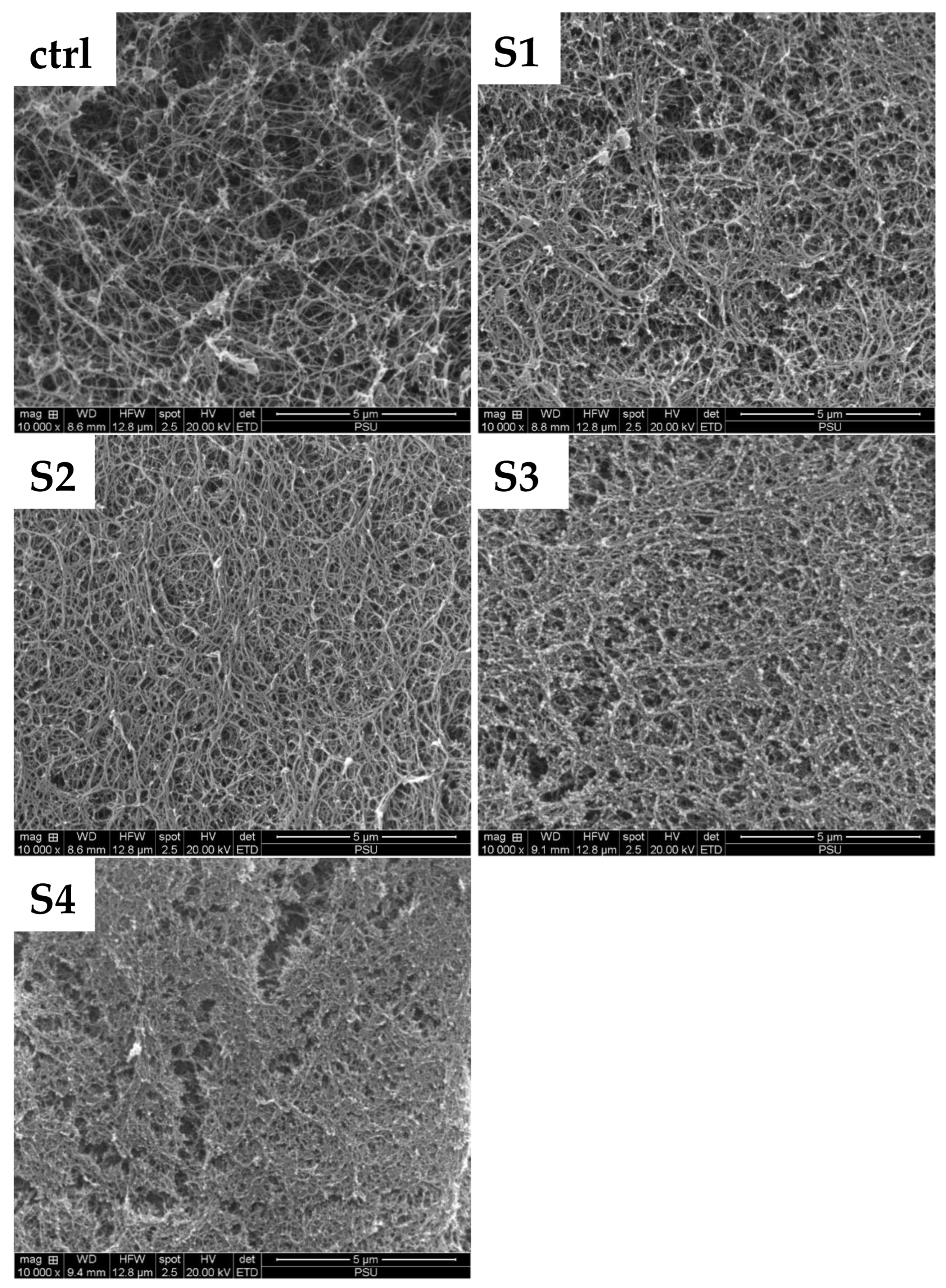 Foods 11 03350 g003 Foods 11 03350 g003