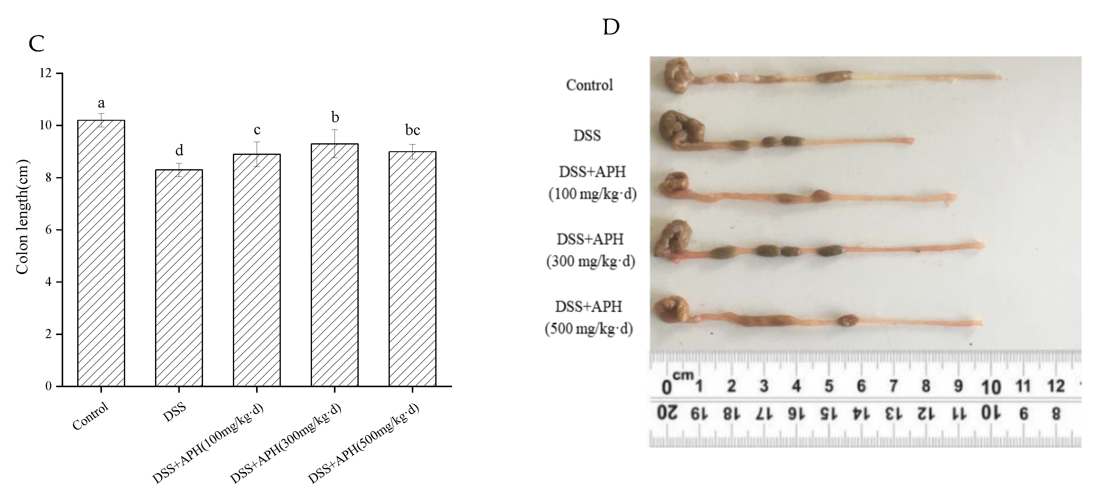 Foods 11 03359 g001b