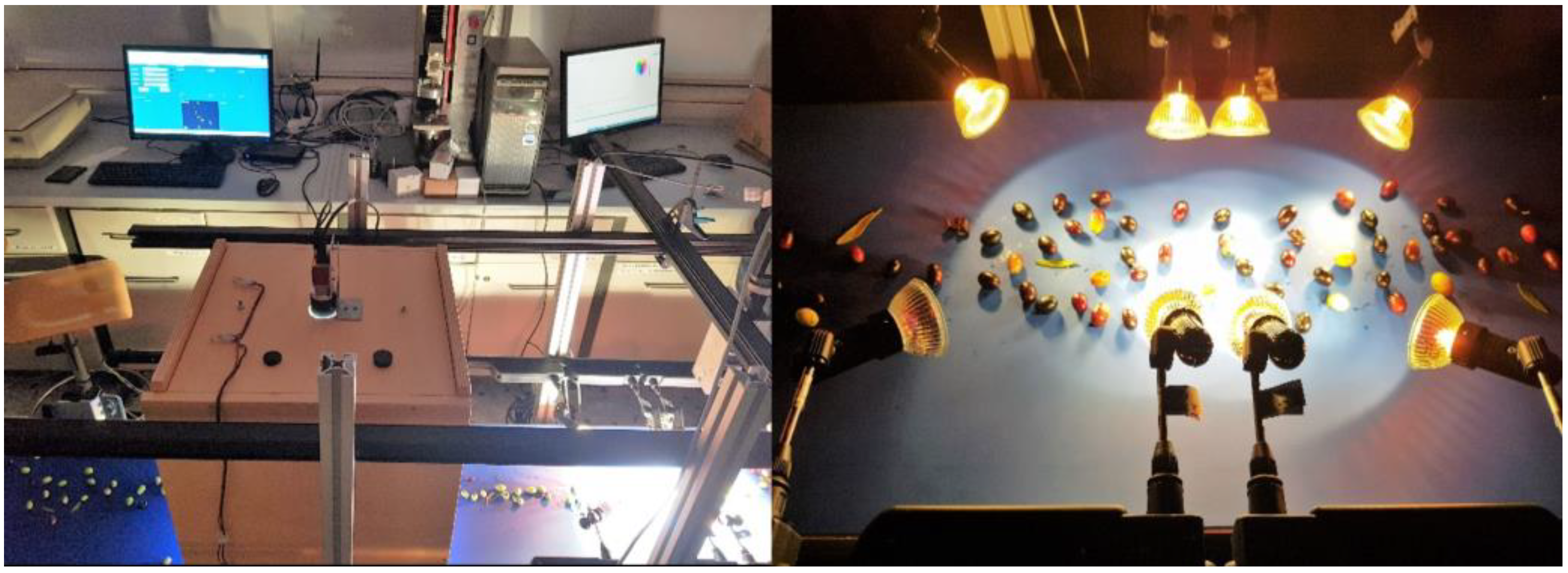 Foods 11 03391 g002 Foods 11 03391 g002