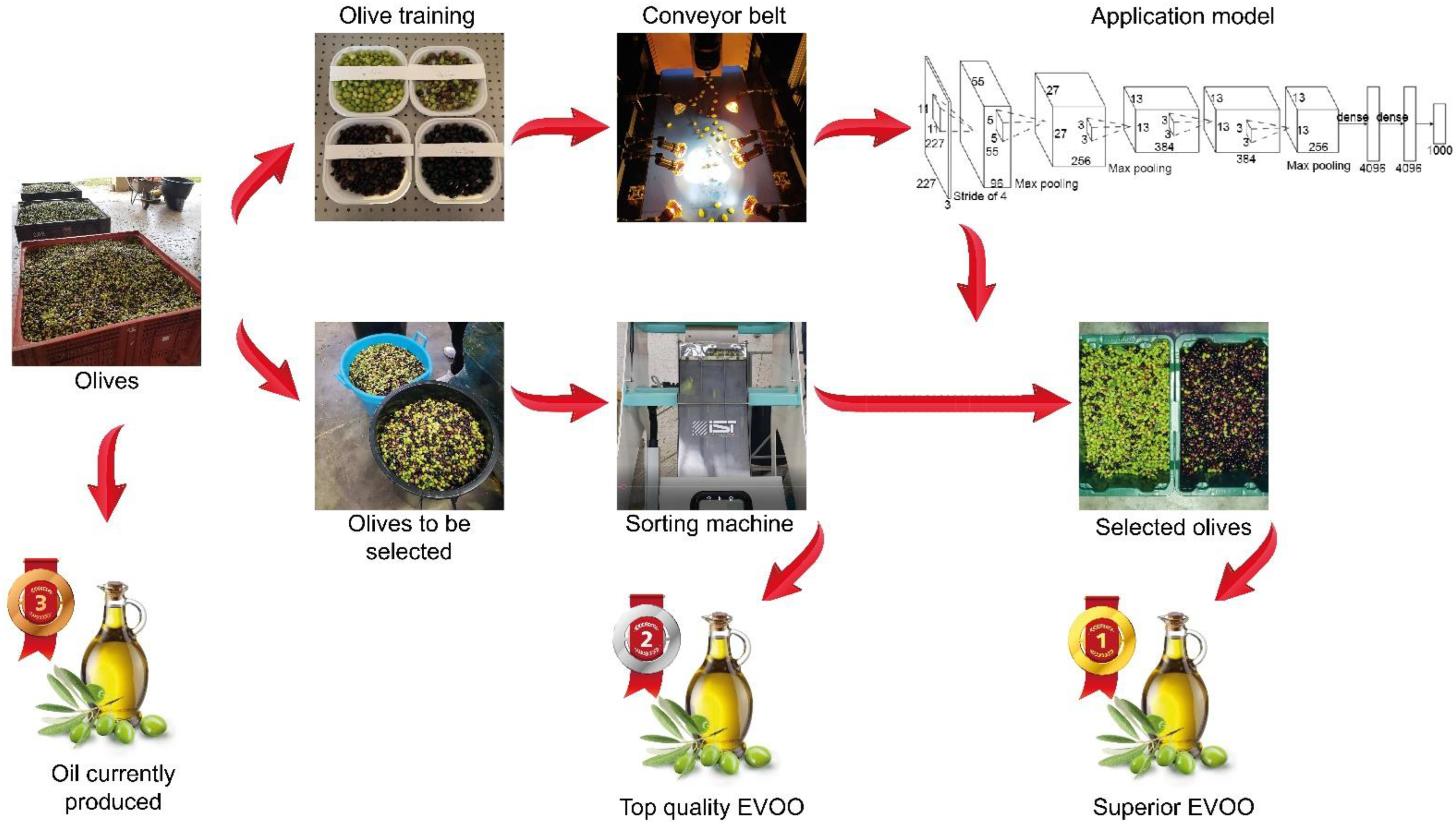 Foods 11 03391 g004 Foods 11 03391 g004